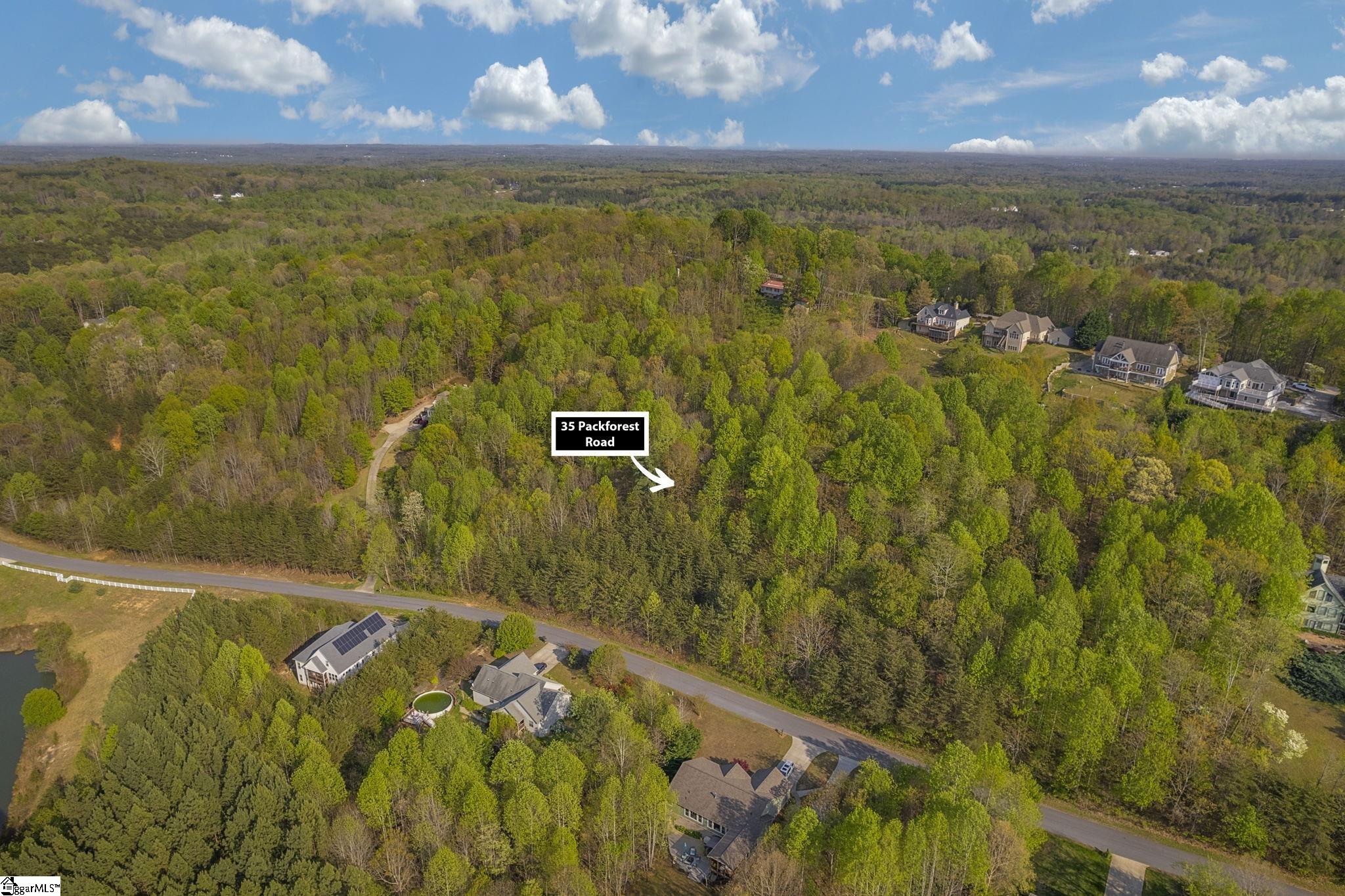35 Packforest, Taylors, South Carolina image 7