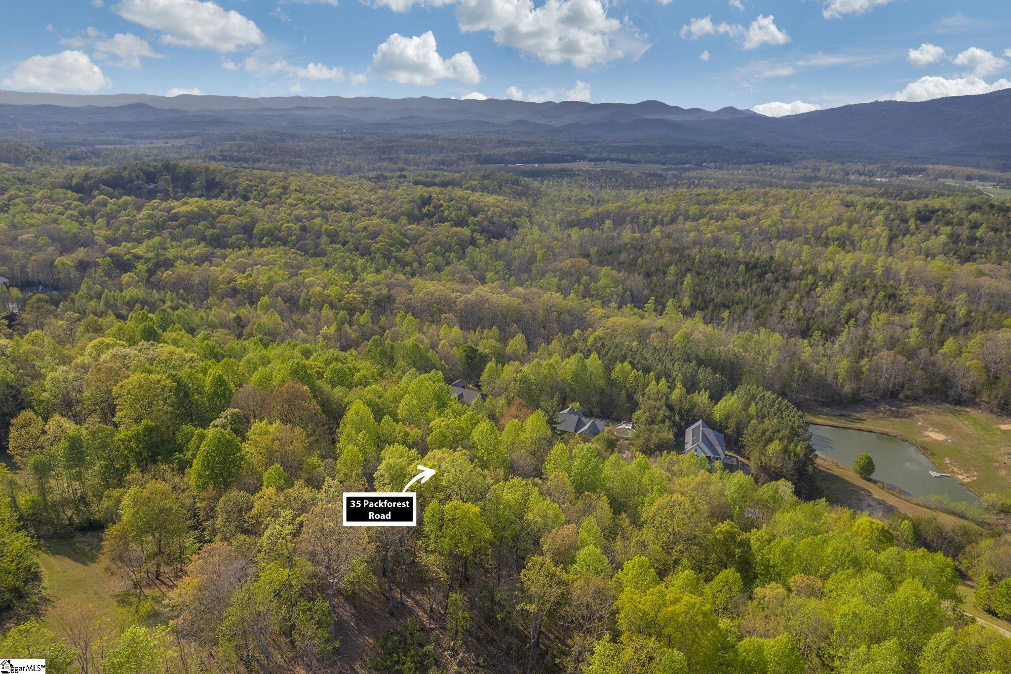 35 Packforest, Taylors, South Carolina image 8