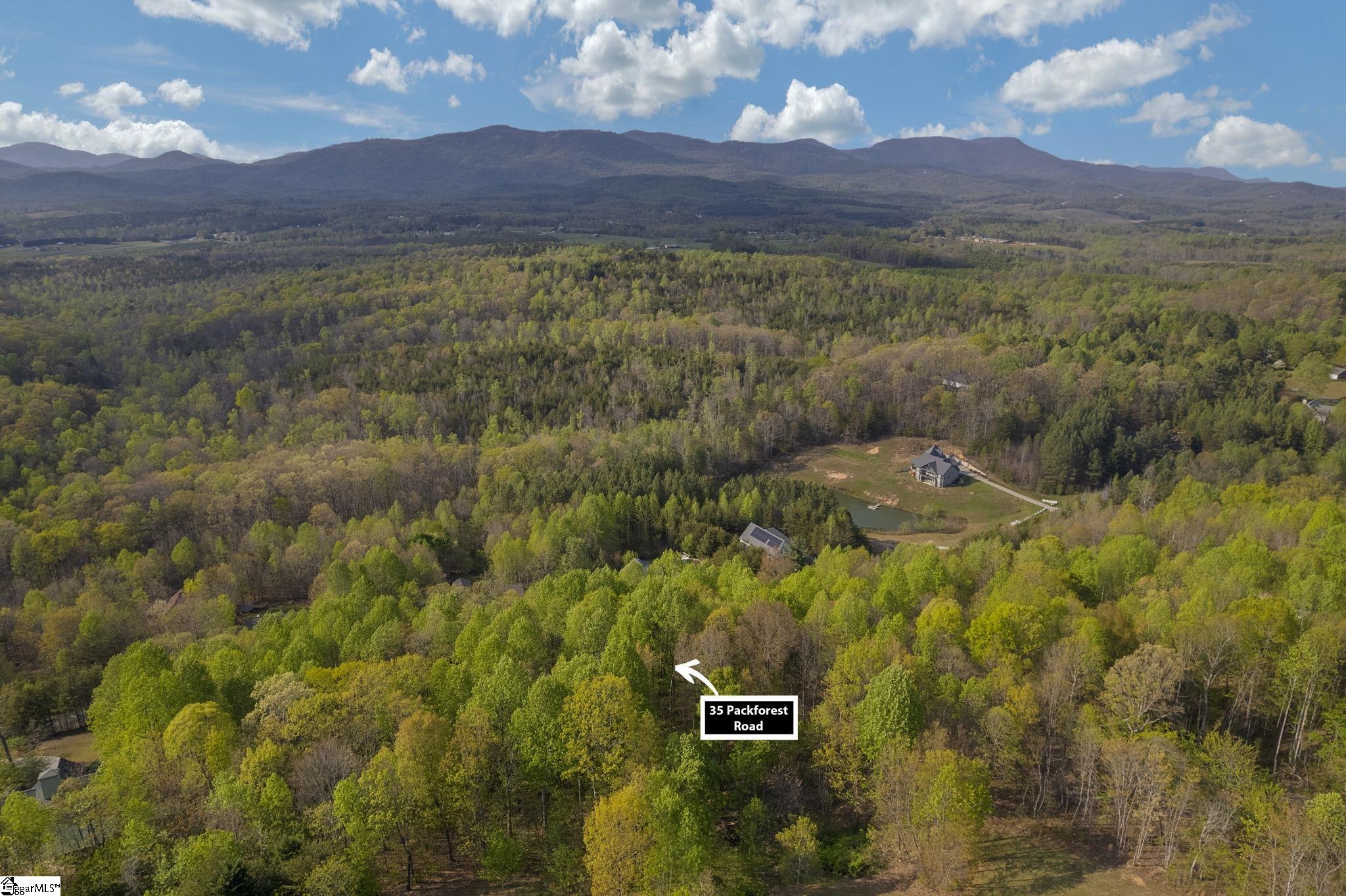 35 Packforest, Taylors, South Carolina image 10