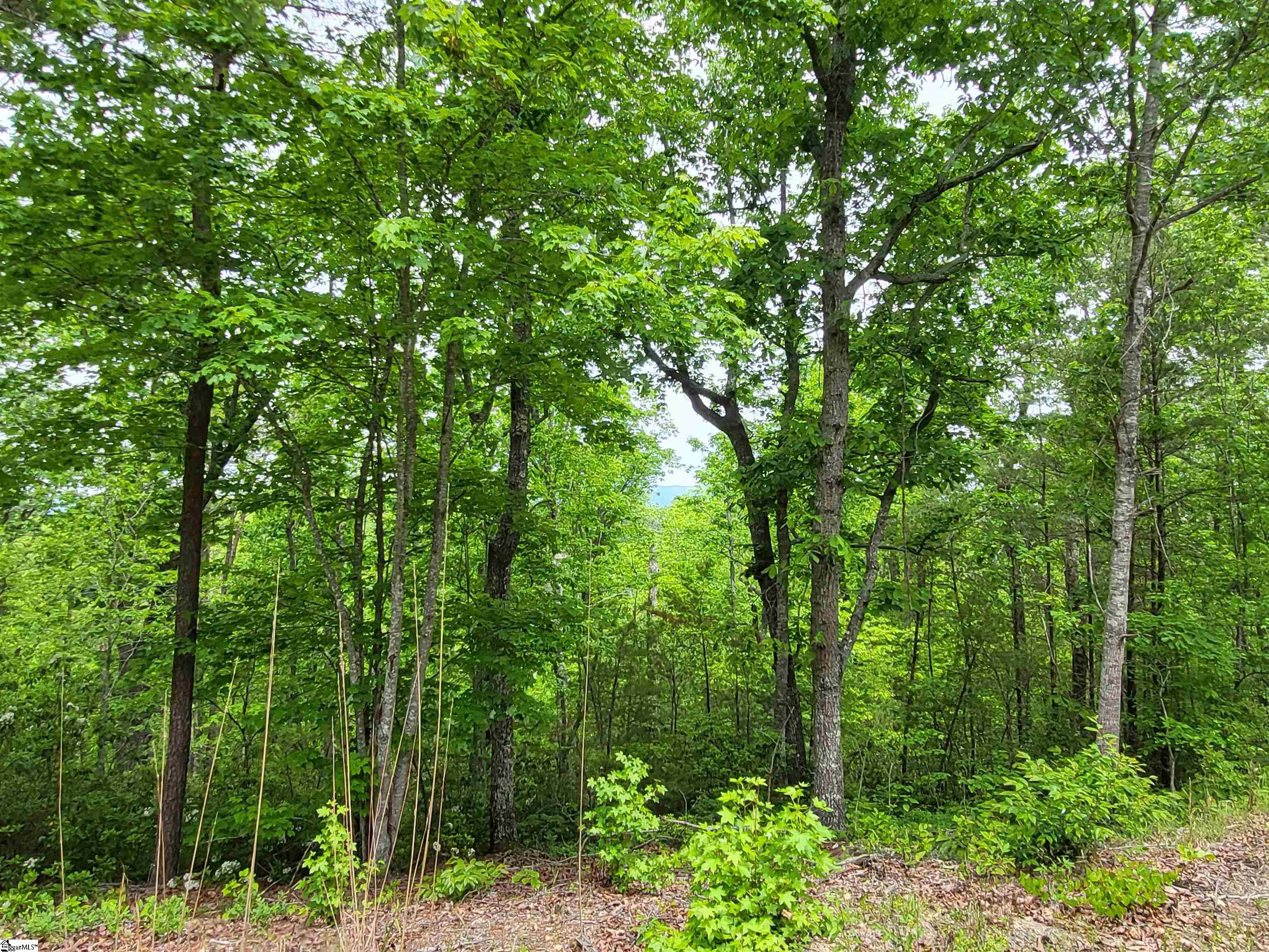 1140 Packs Mountain Ridge Road, Taylors SC 29687