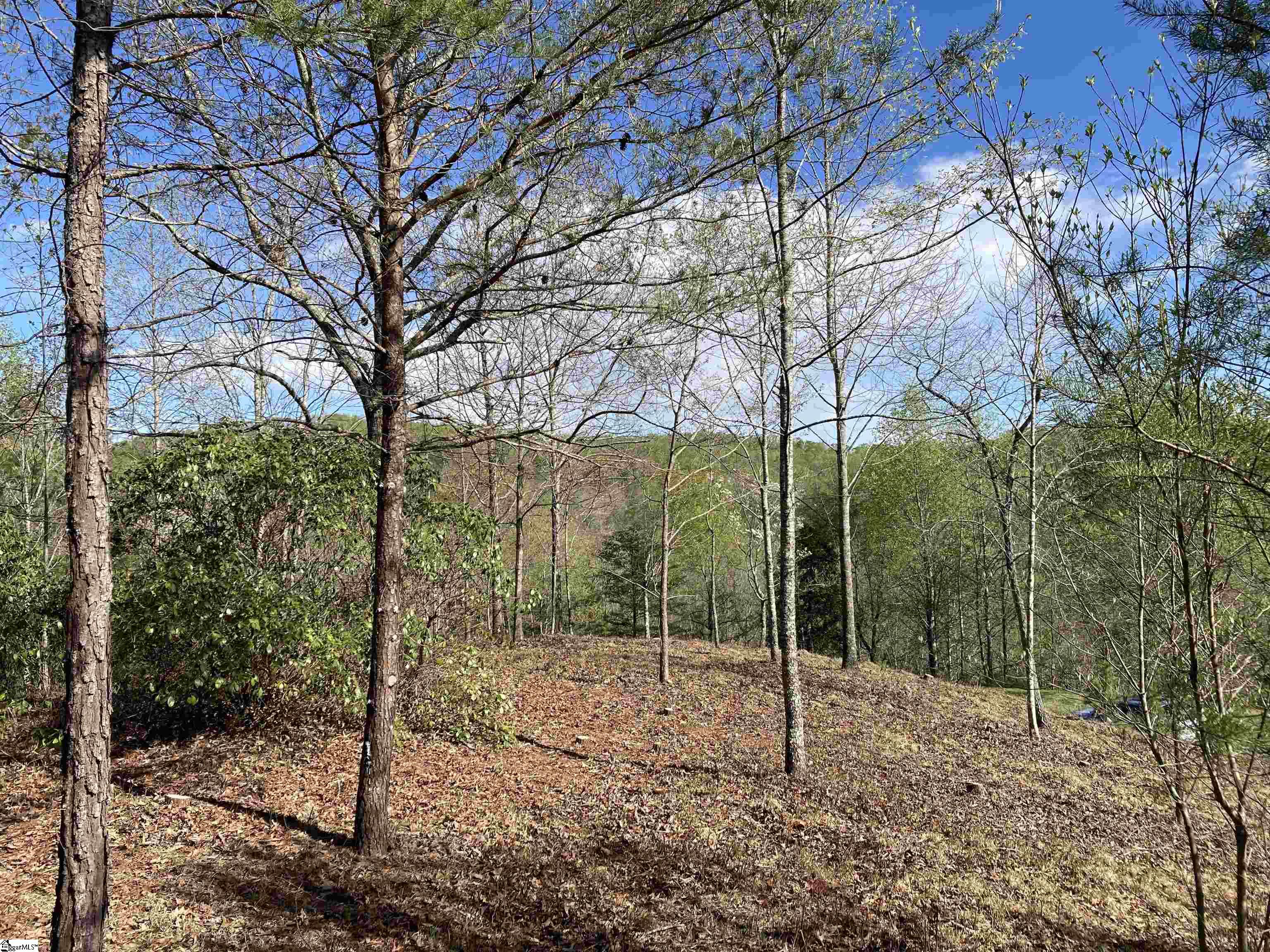 775 Blue Bonnet, Marietta, South Carolina image 1