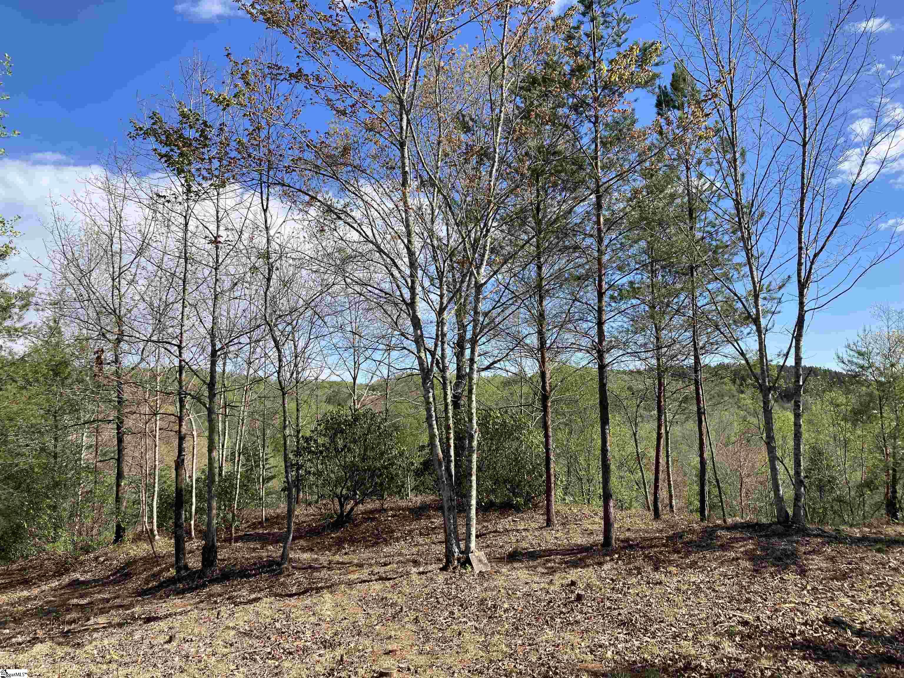 775 Blue Bonnet, Marietta, South Carolina image 2