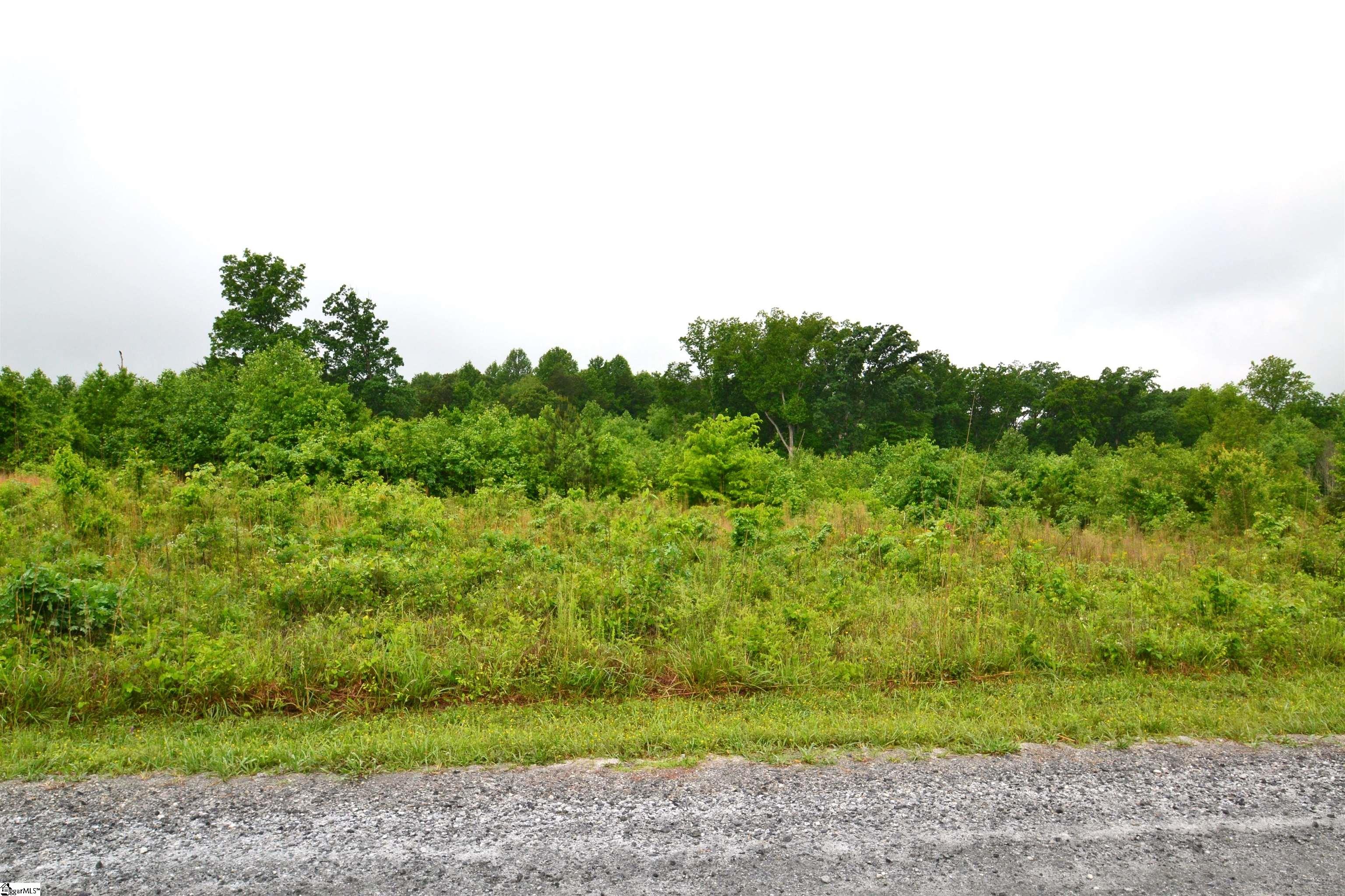 1647 Christopher Road, Campobello SC 29322