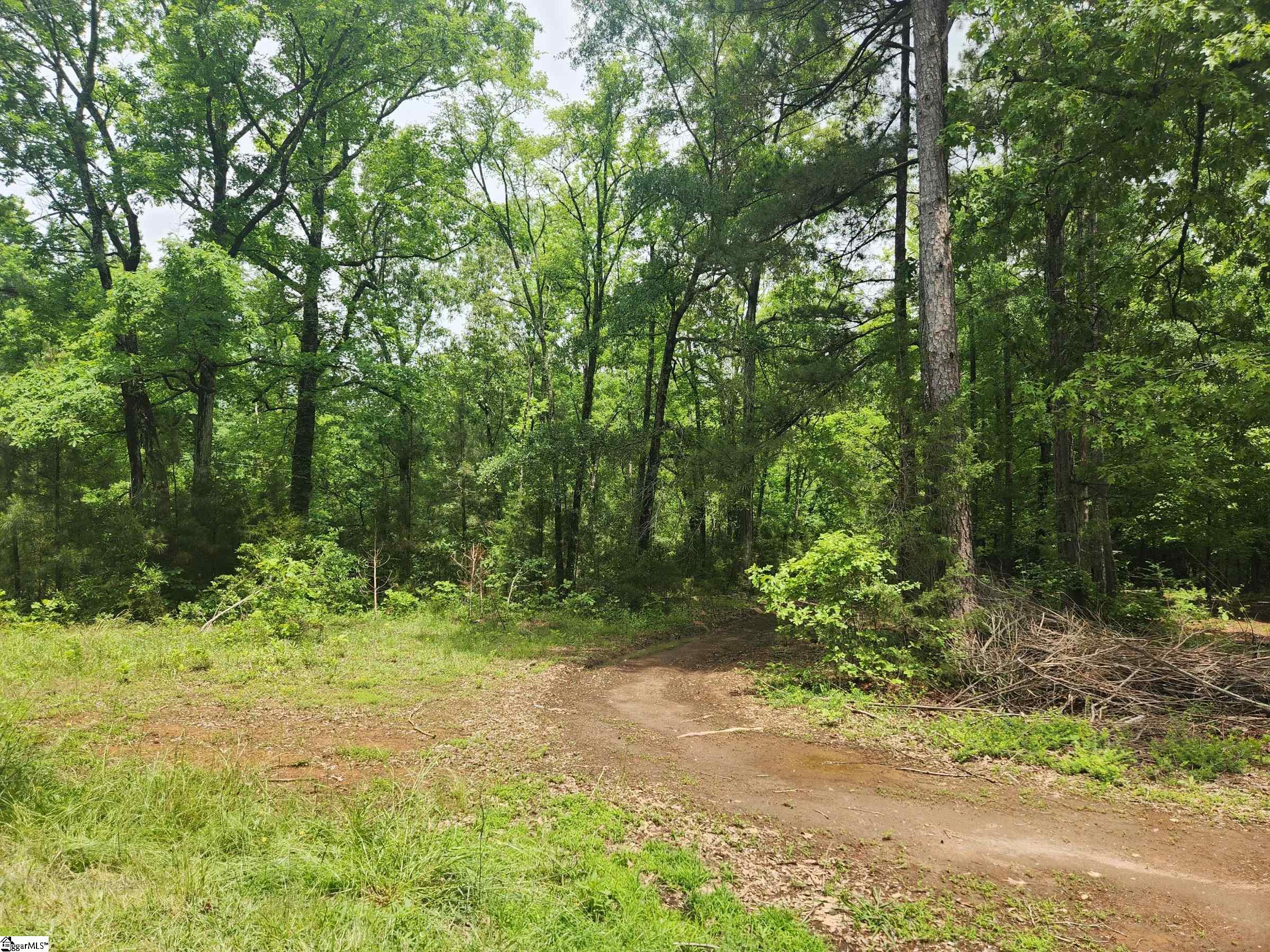00 Tibbitts, Waterloo, South Carolina image 4