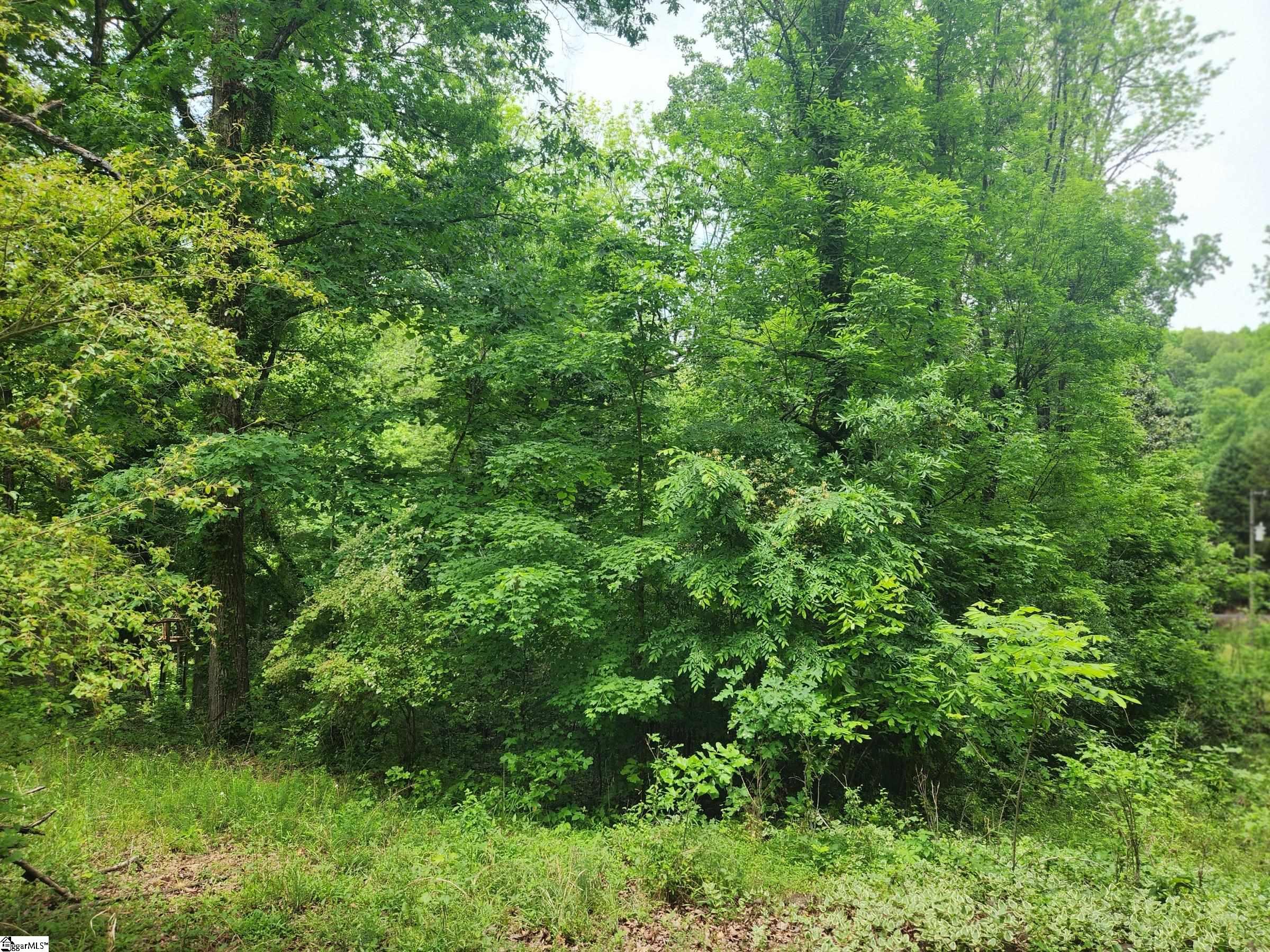 00 Tibbitts, Waterloo, South Carolina image 6