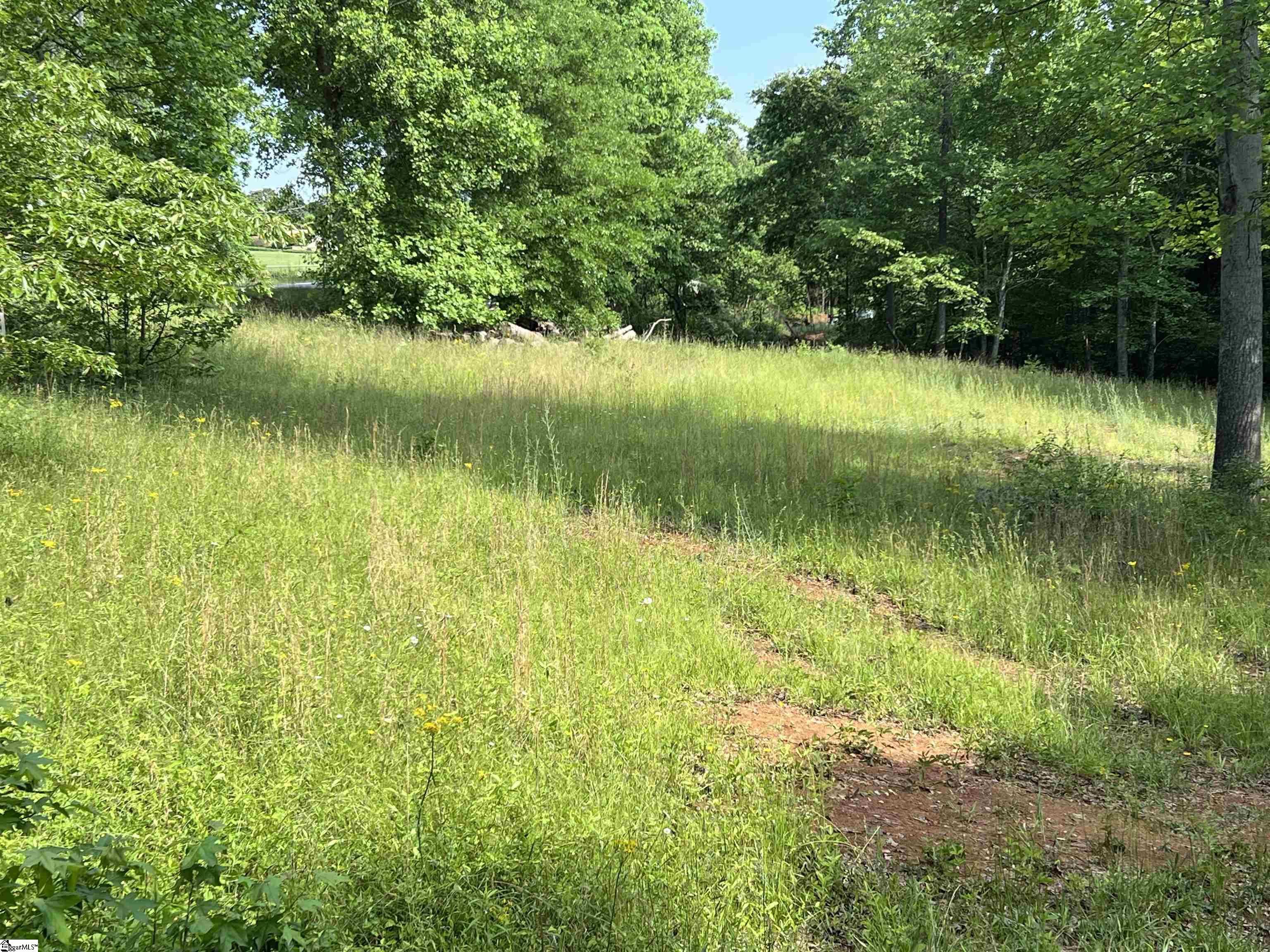 00 Golden Springs Drive Lot 9A, Liberty SC 29657