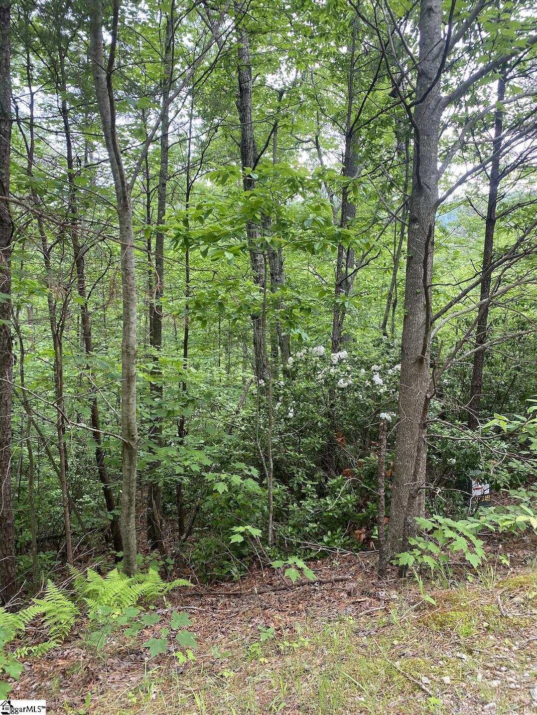 00 Glen Hollow Road, Travelers Rest SC 29690