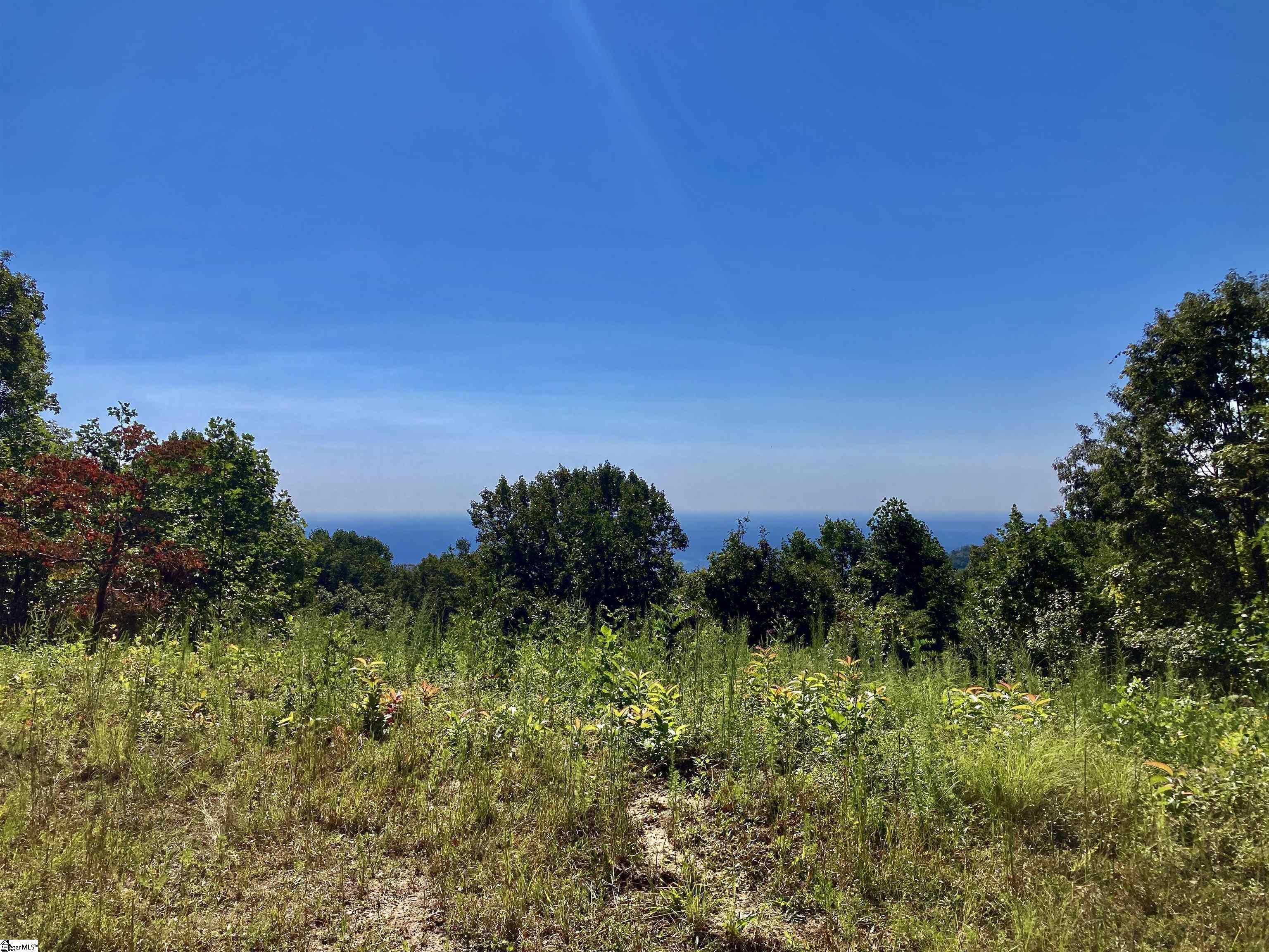 735 Fire Pink Way, Landrum SC 29356