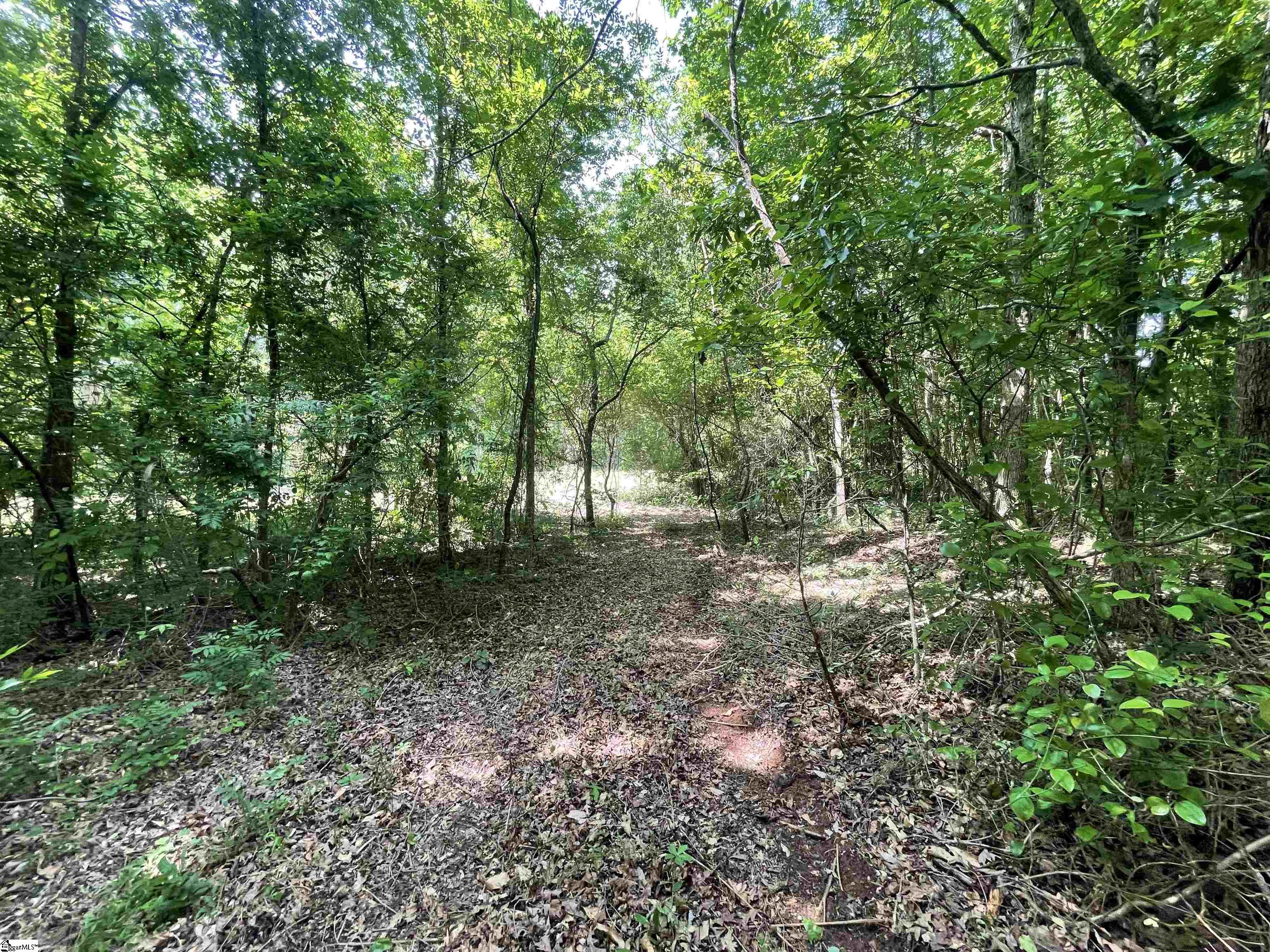 00 Fork Shoals, Greenville, South Carolina image 11