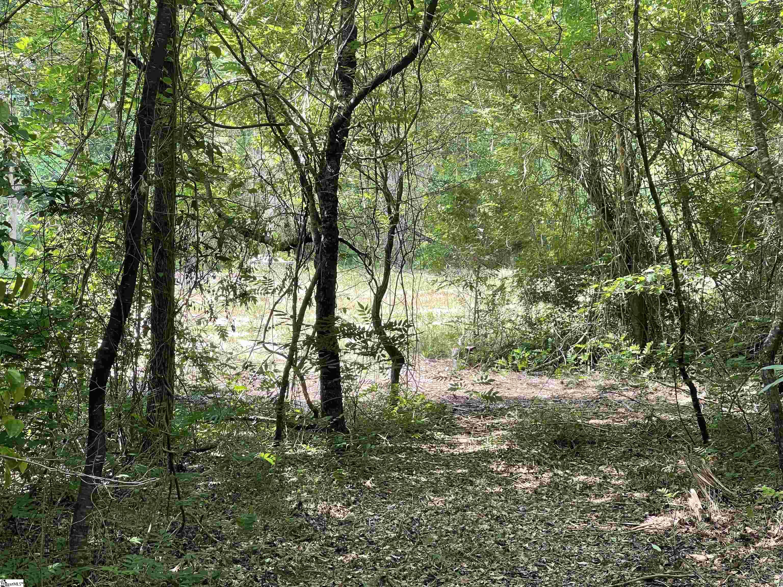 00 Fork Shoals, Greenville, South Carolina image 12