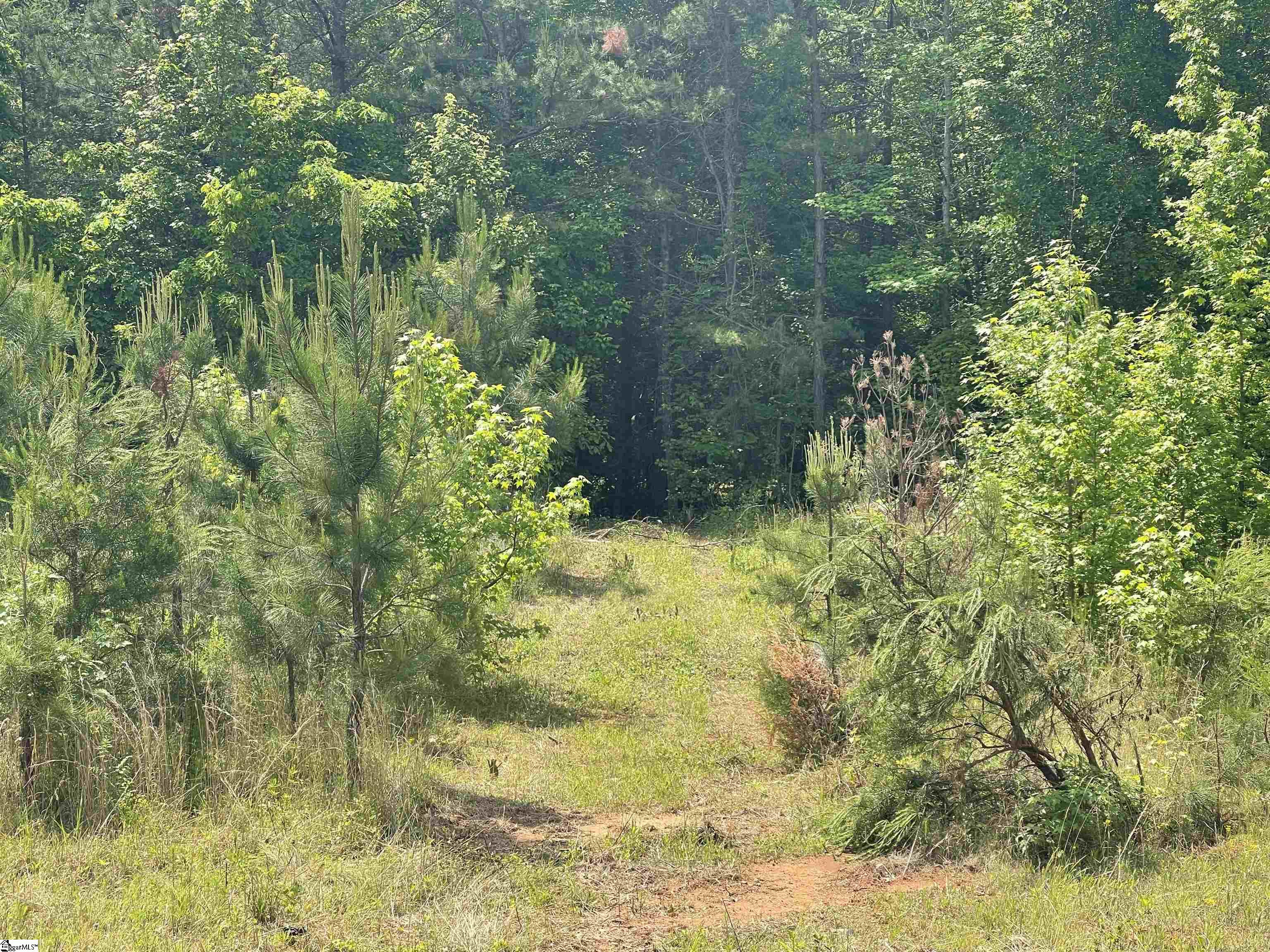 00 Fork Shoals, Greenville, South Carolina image 16