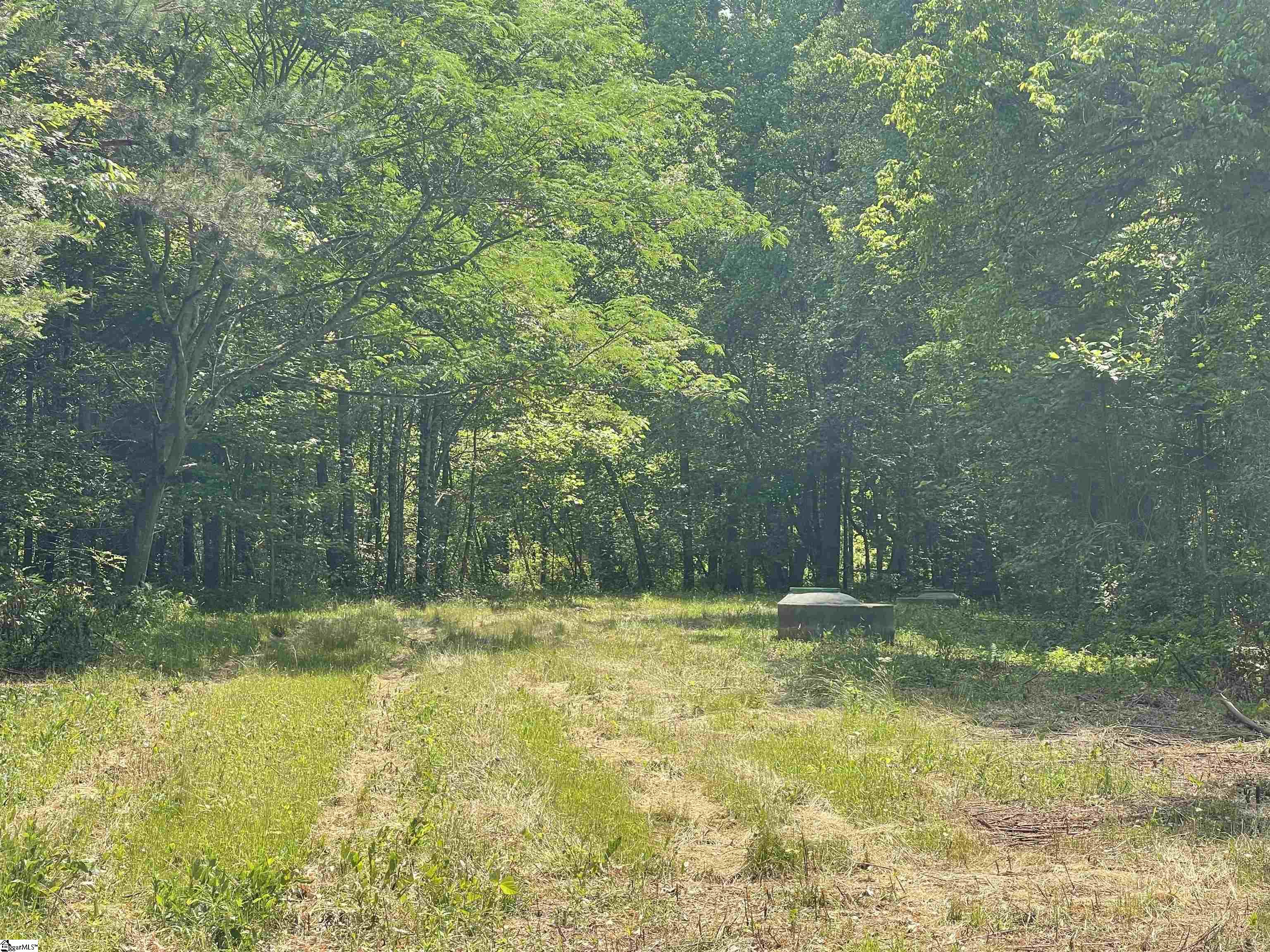 00 Fork Shoals, Greenville, South Carolina image 18
