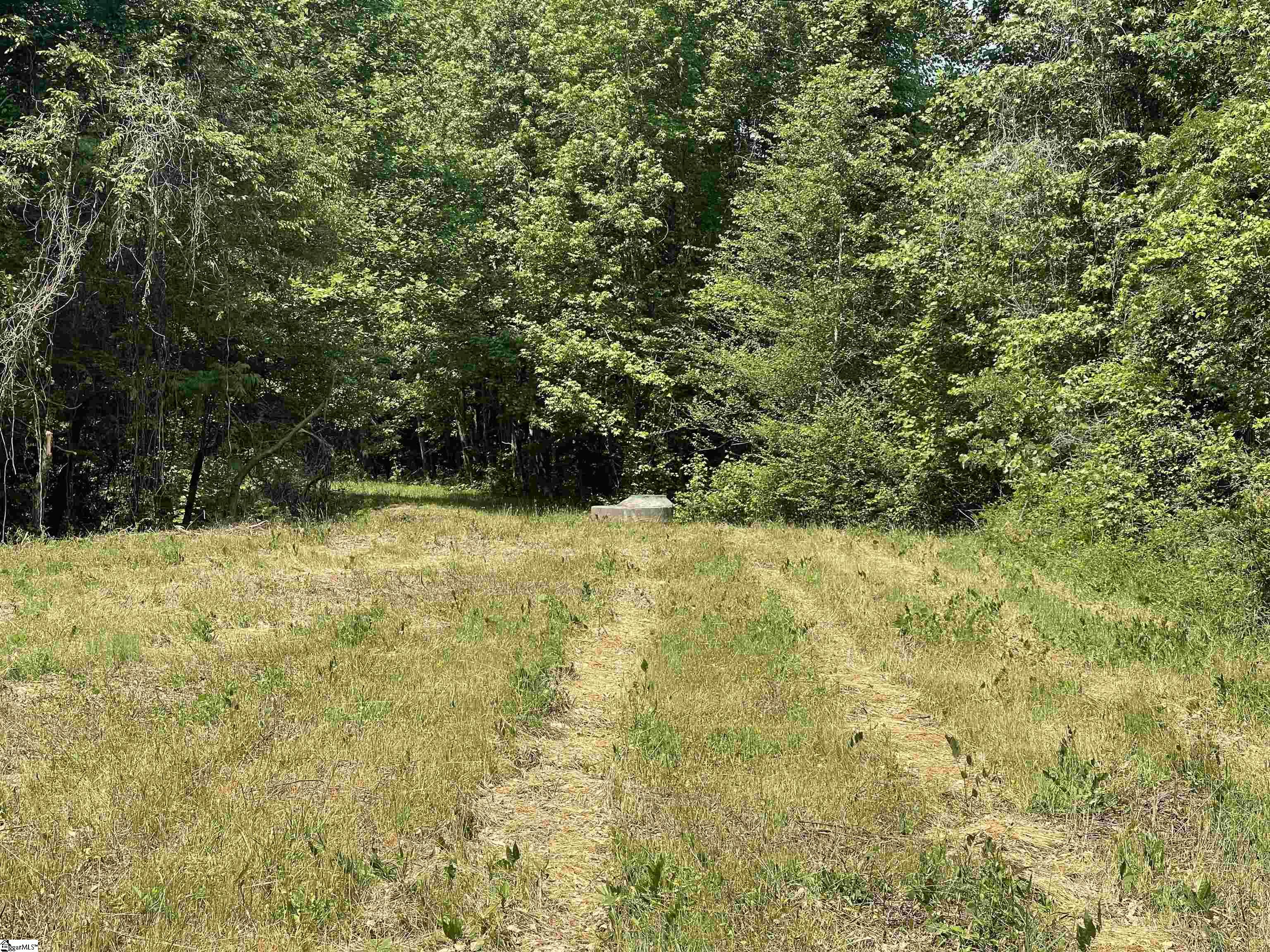 00 Fork Shoals, Greenville, South Carolina image 19