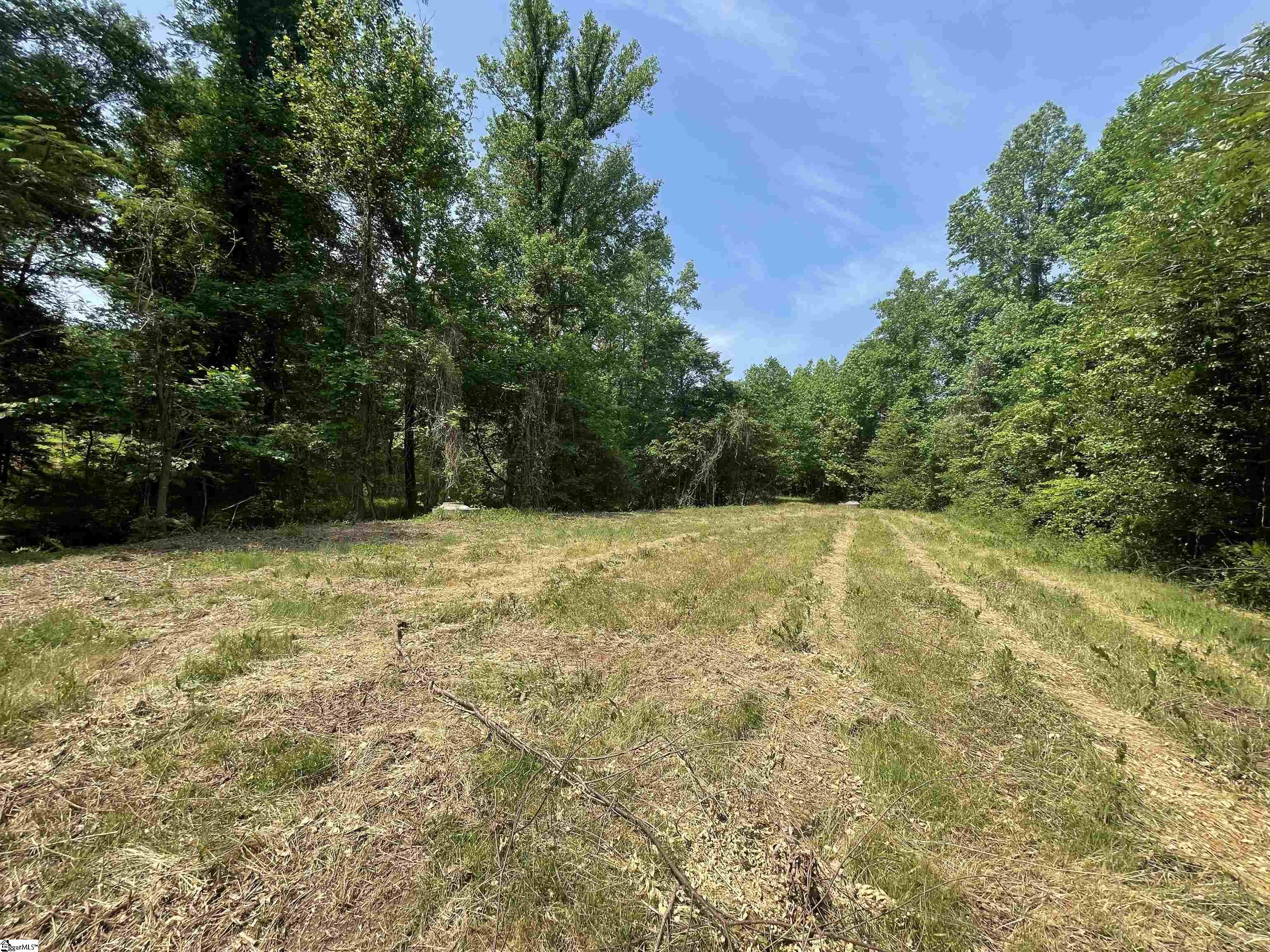 00 Fork Shoals, Greenville, South Carolina image 20