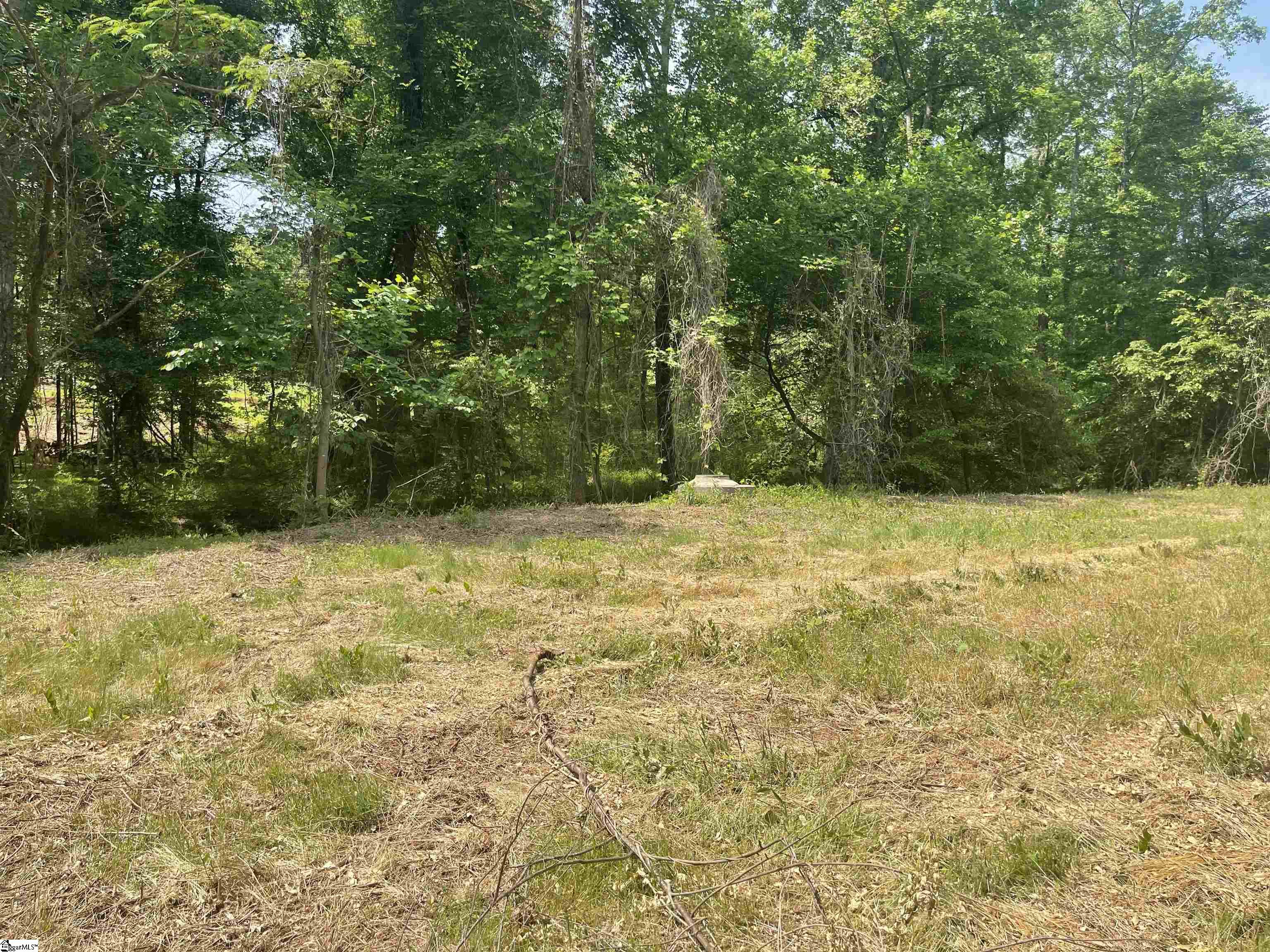 00 Fork Shoals, Greenville, South Carolina image 21