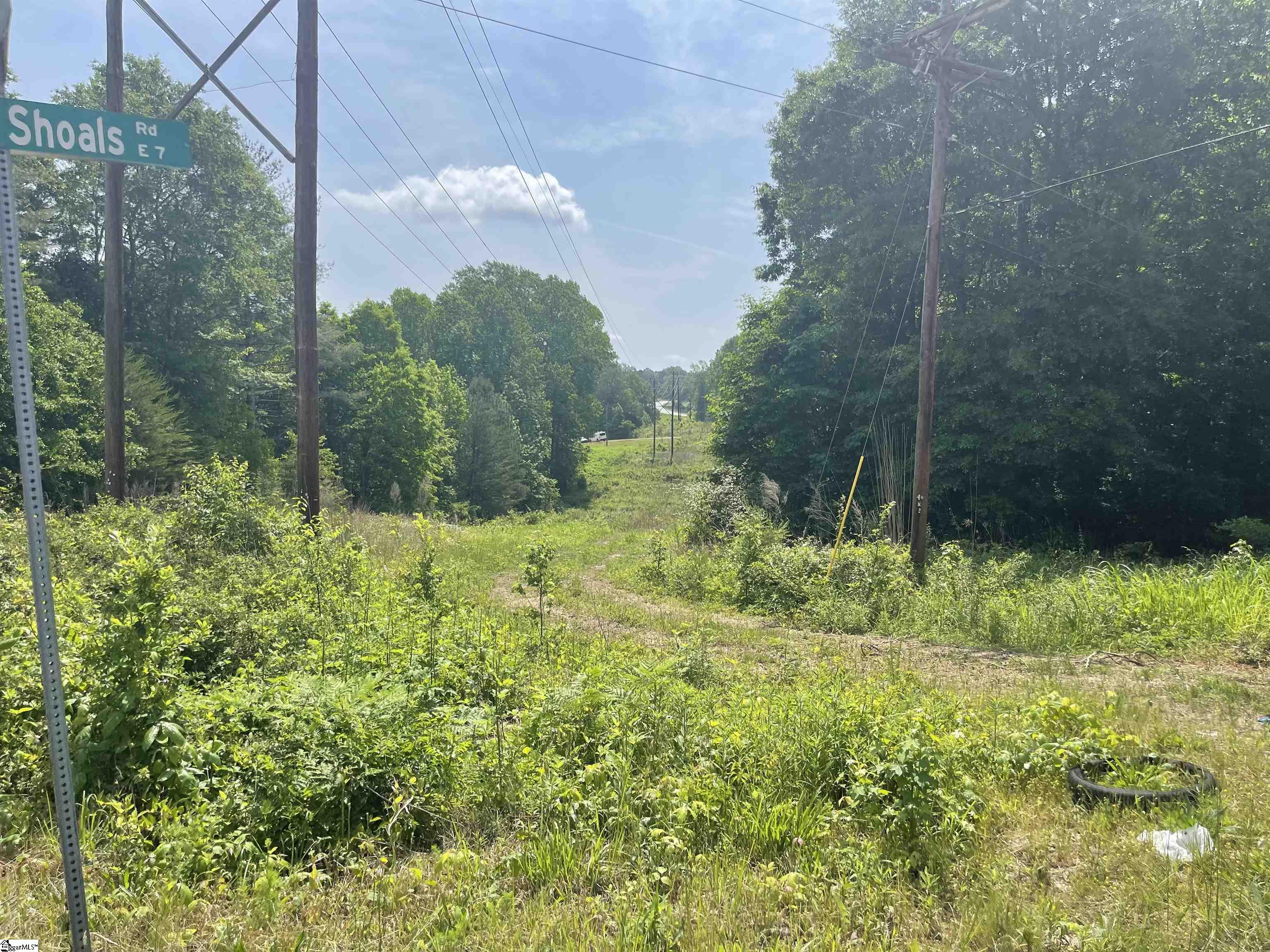 00 Fork Shoals, Greenville, South Carolina image 22