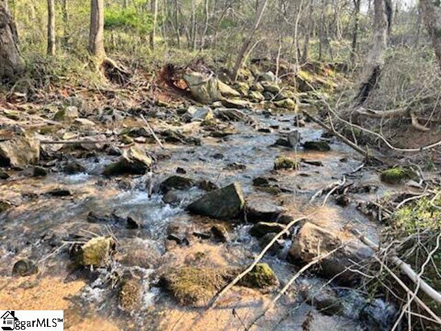 00 Fork Shoals, Greenville, South Carolina image 8