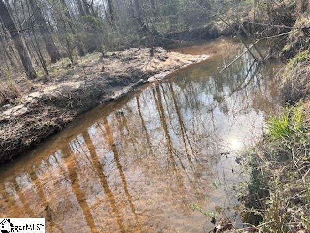 00 Fork Shoals, Greenville, South Carolina image 9