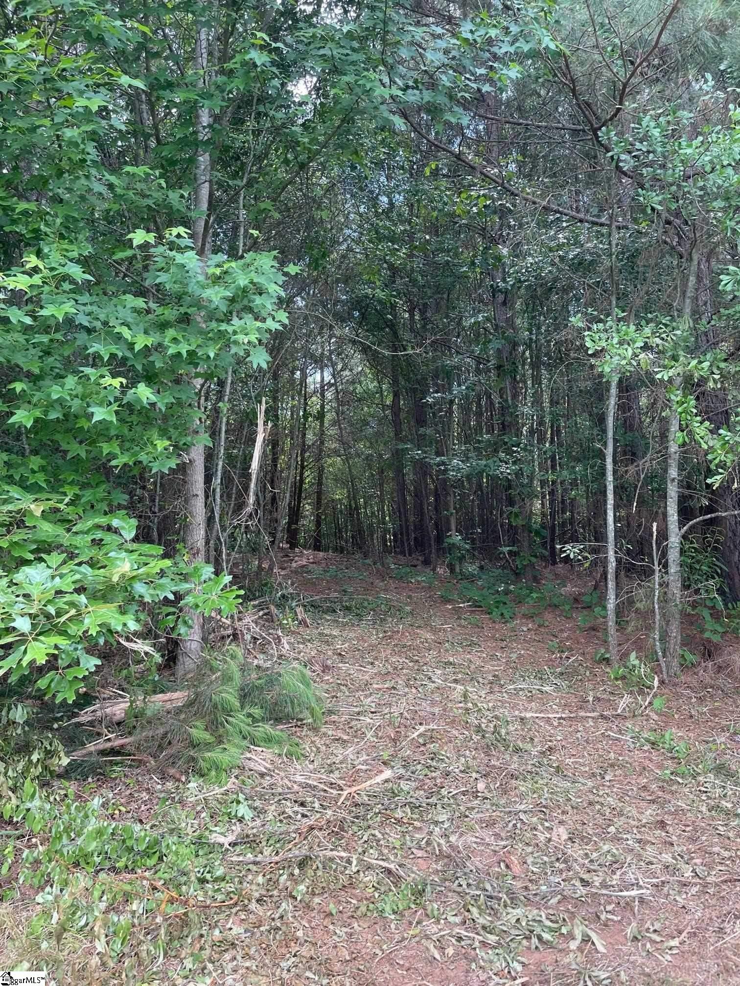 0 Gap Creek Road, Lyman SC 29365