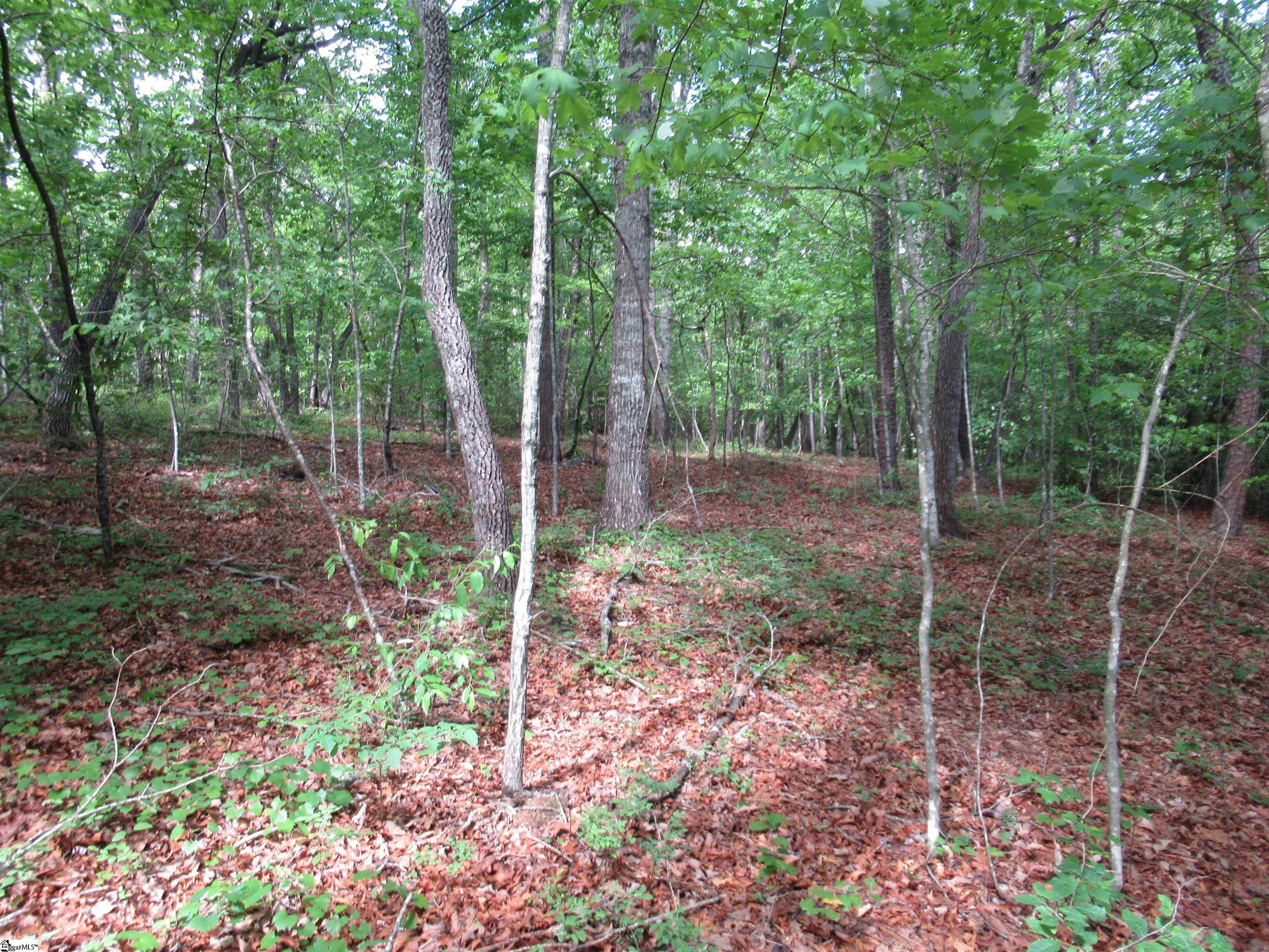 0 Raven Court Lot 35, Cleveland SC 29635