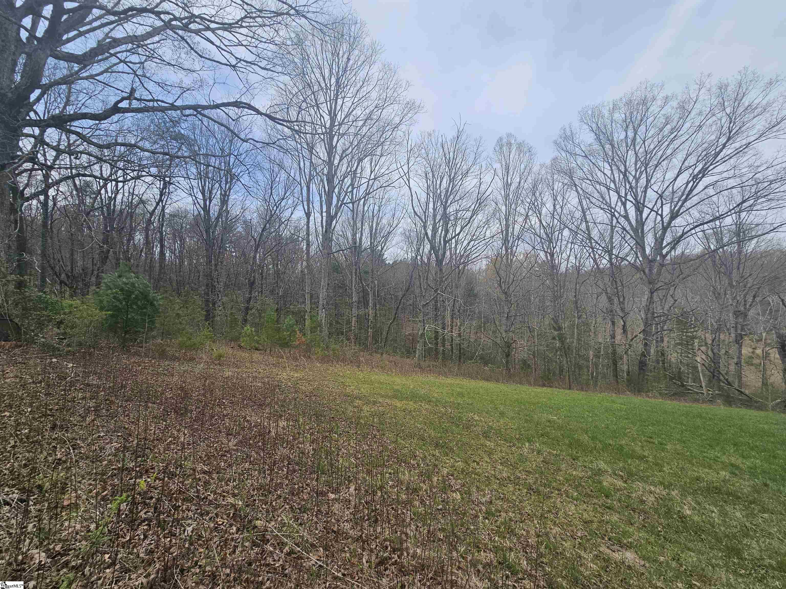 00 Arledge Road Lot 2, Landrum SC 29322