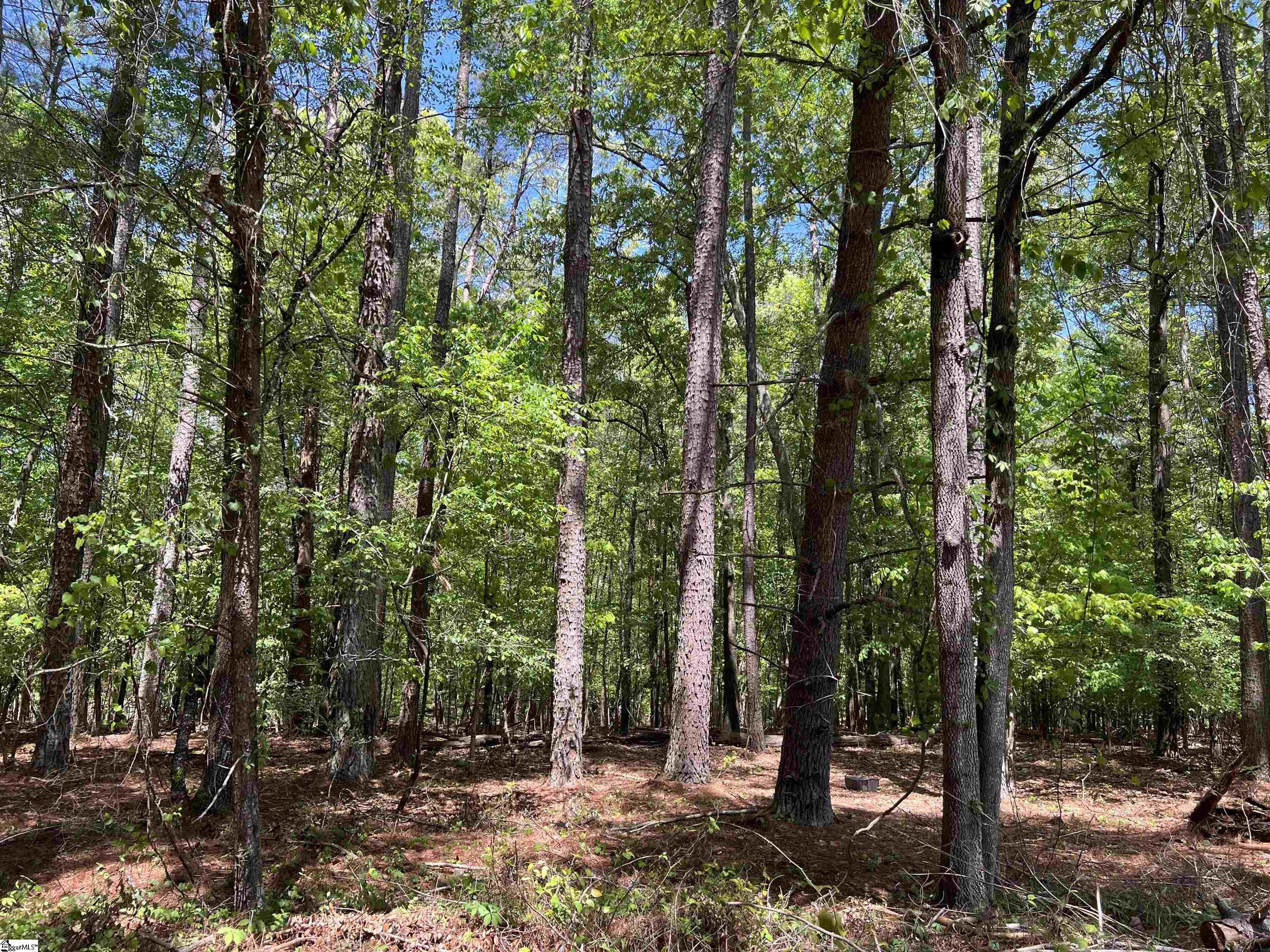 271 Cedar Canyon Drive, Spartanburg SC 29307