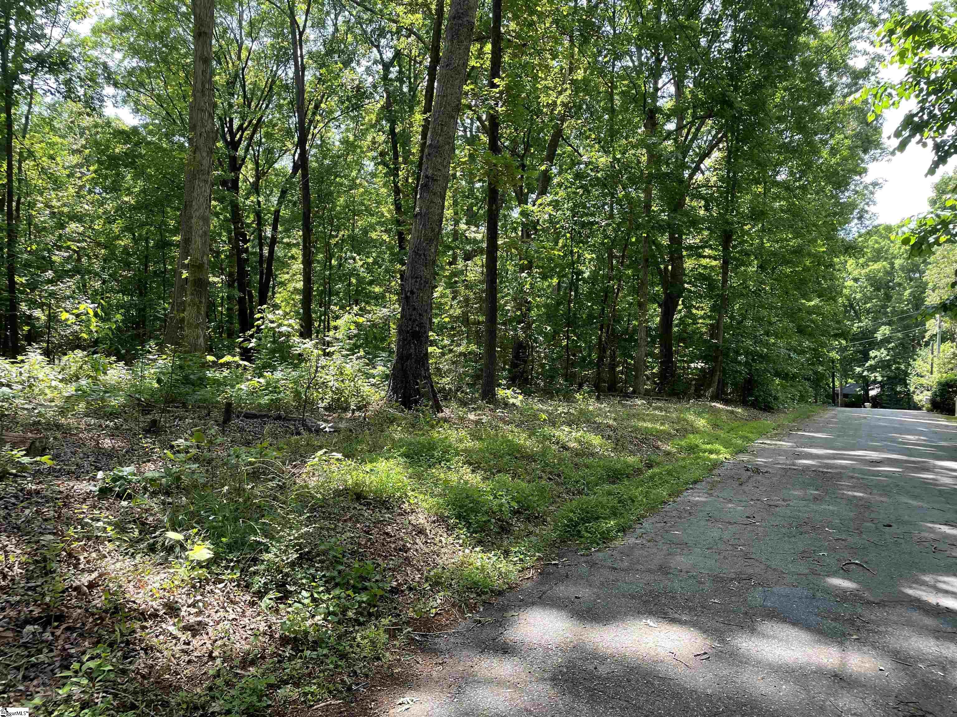 1014 Challedon Way, Pendleton SC 29670