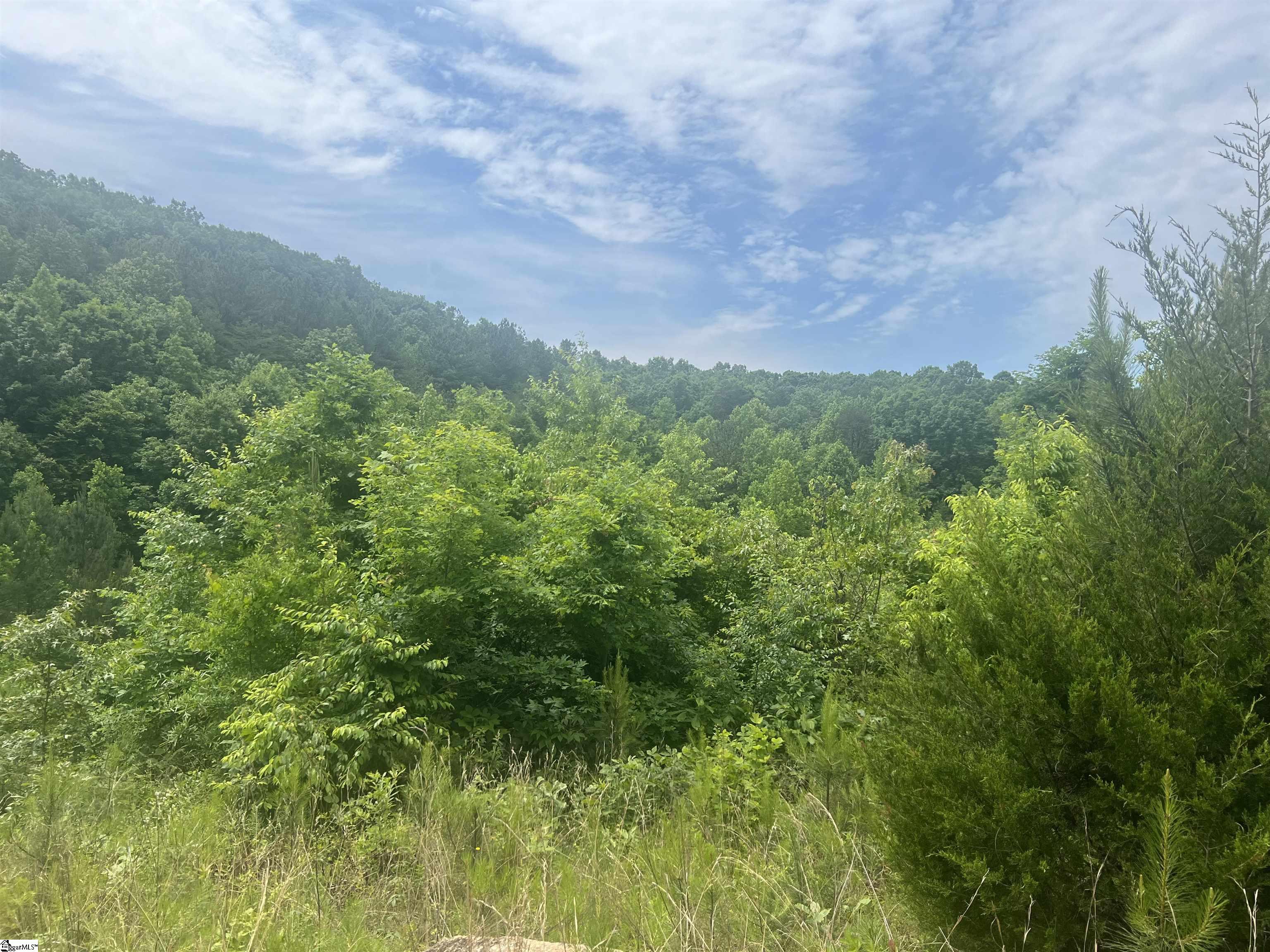 124 Dakota Scott Drive, Pickens SC 29671