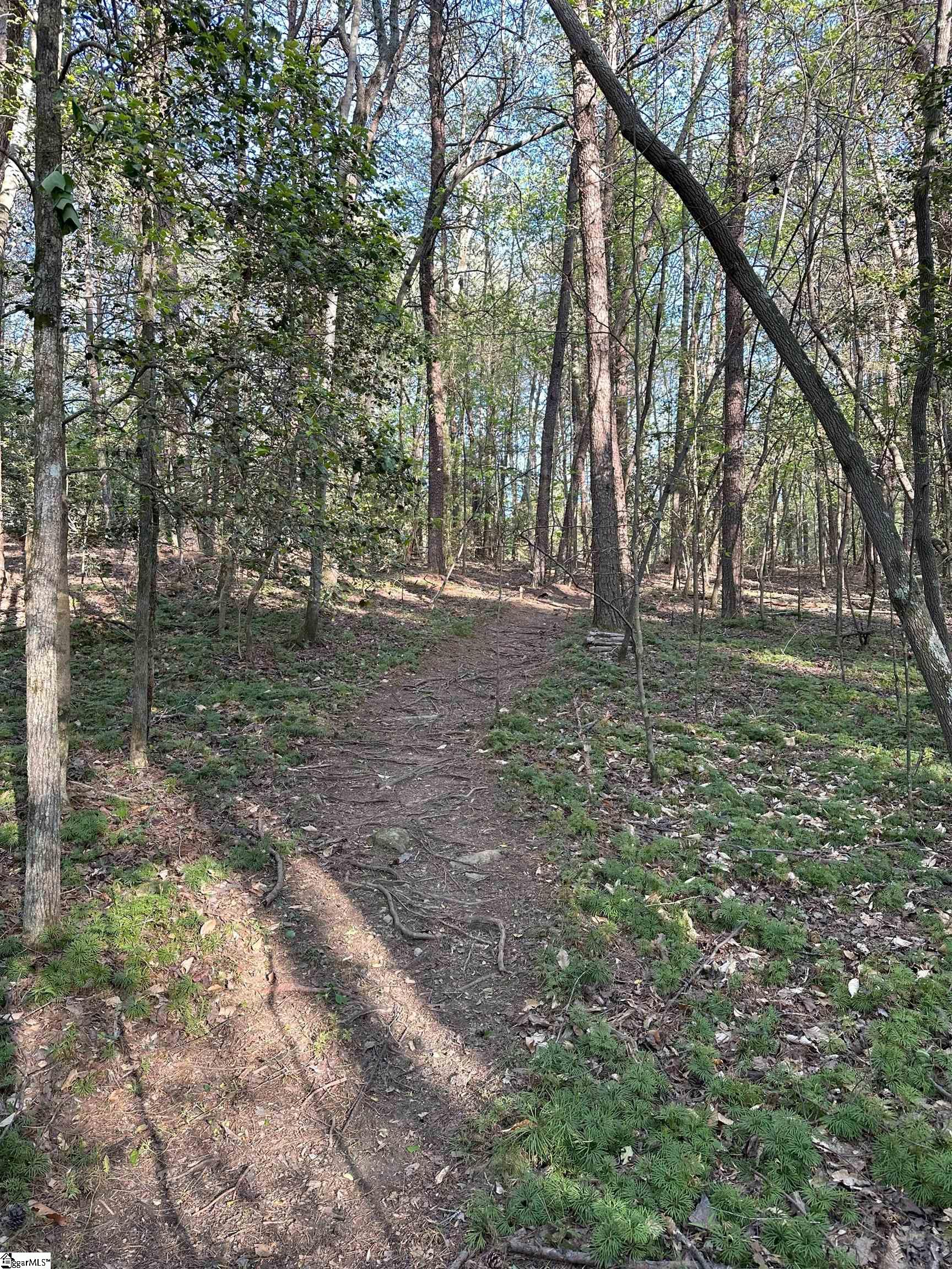 NPA Thompson Road, Greer SC 29651