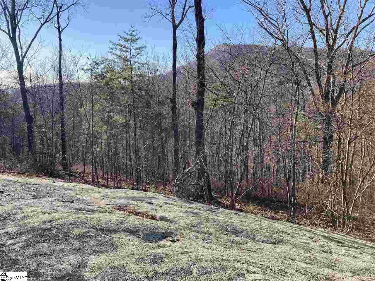16 Heather Hill, Landrum, South Carolina image 2