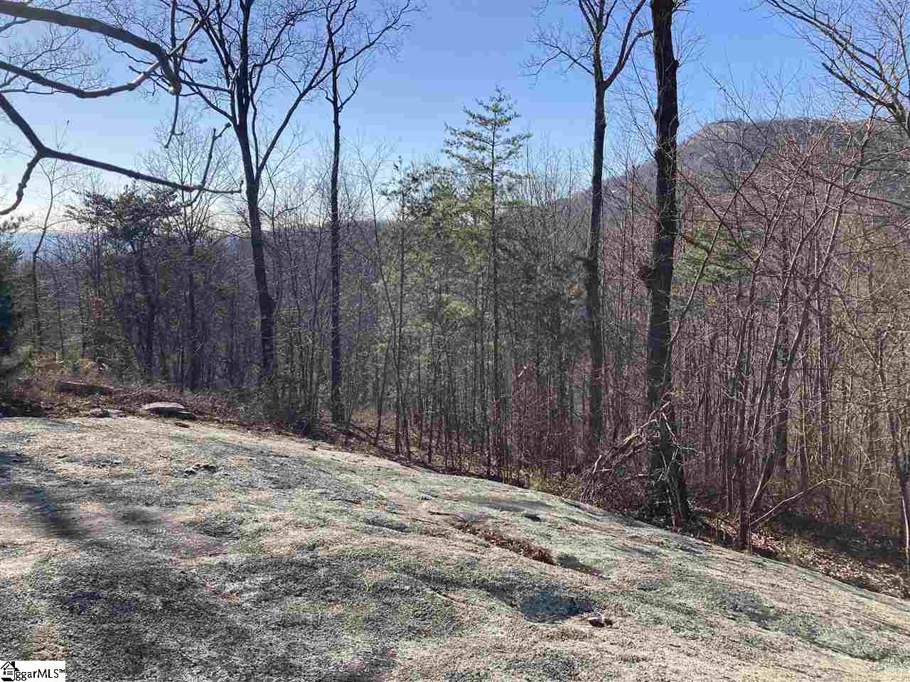 16 Heather Hill, Landrum, South Carolina image 3
