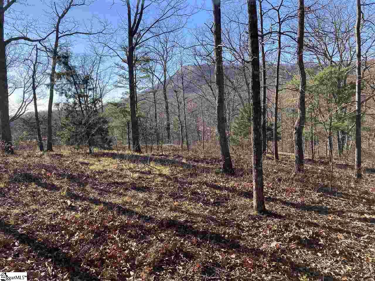 16 Heather Hill, Landrum, South Carolina image 4