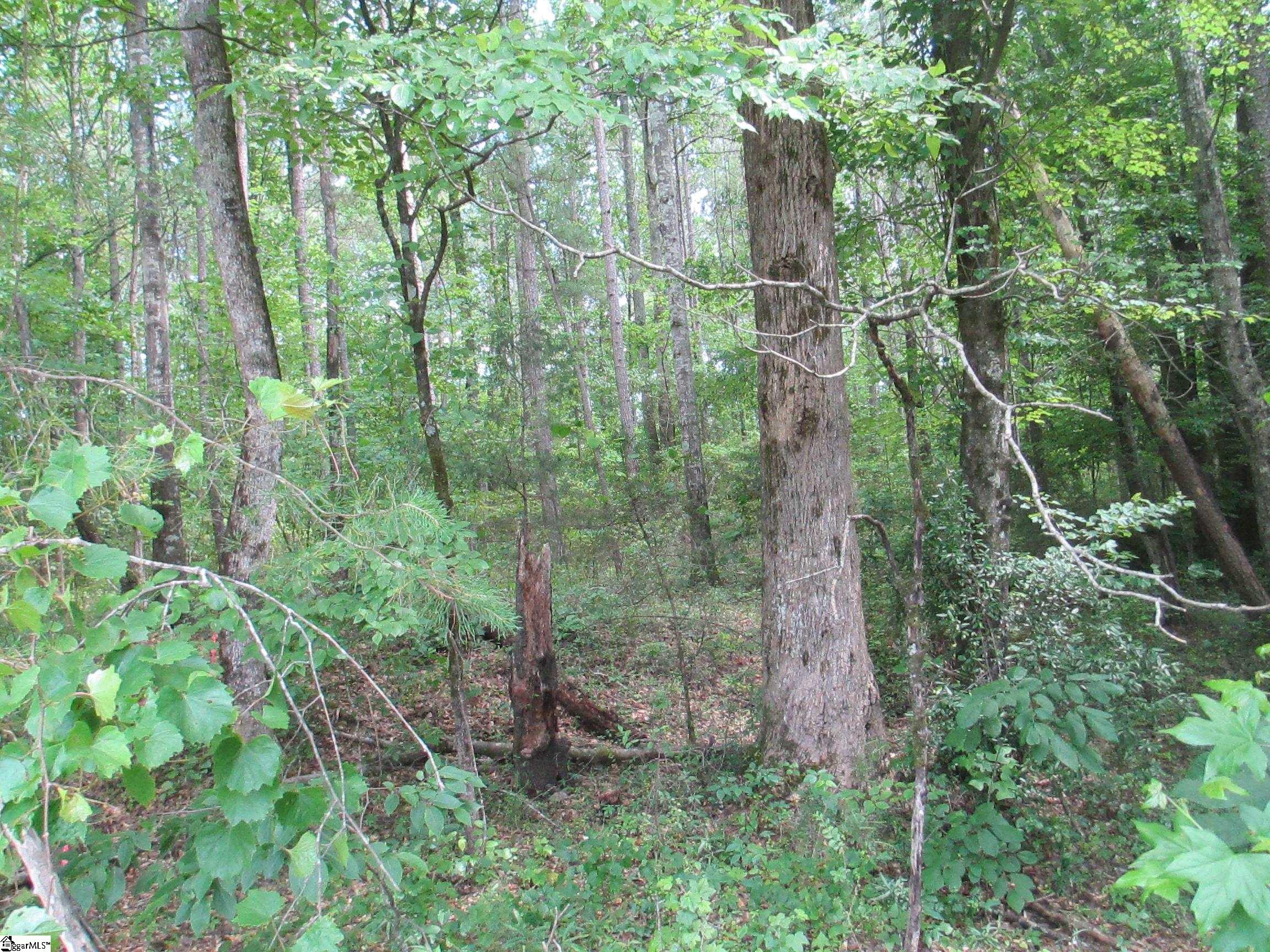000 Bonner Road Mountain Rest, SC 29664