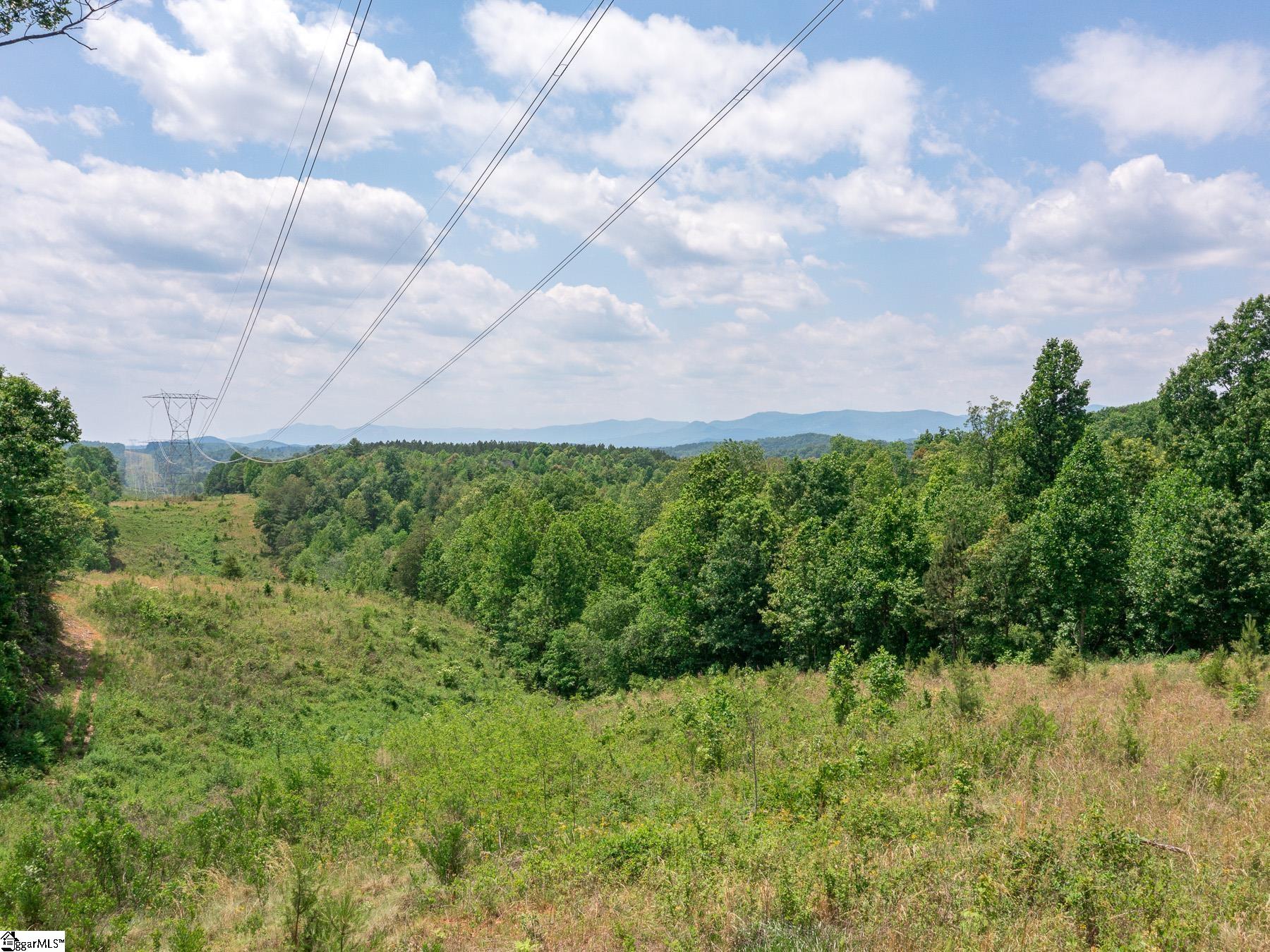 31 W Ridge, Travelers Rest, South Carolina image 2