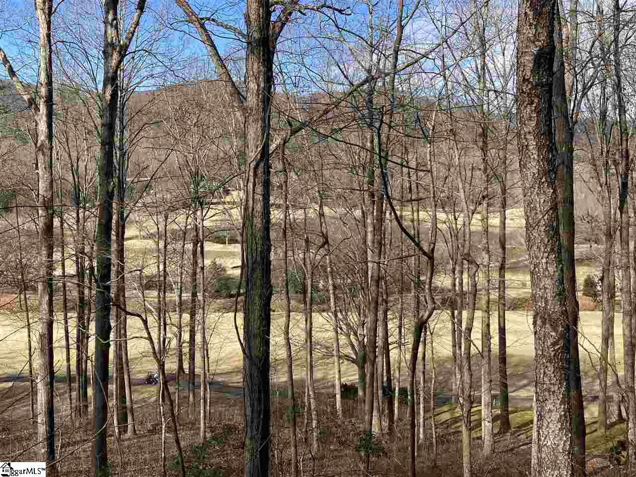 115 Foxboro, Travelers Rest, South Carolina image 2
