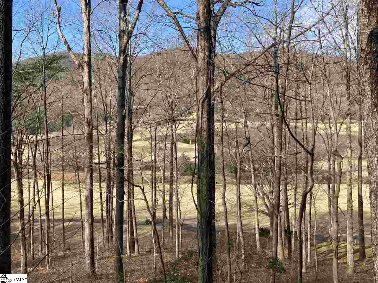 115 Foxboro, Travelers Rest, South Carolina image 3