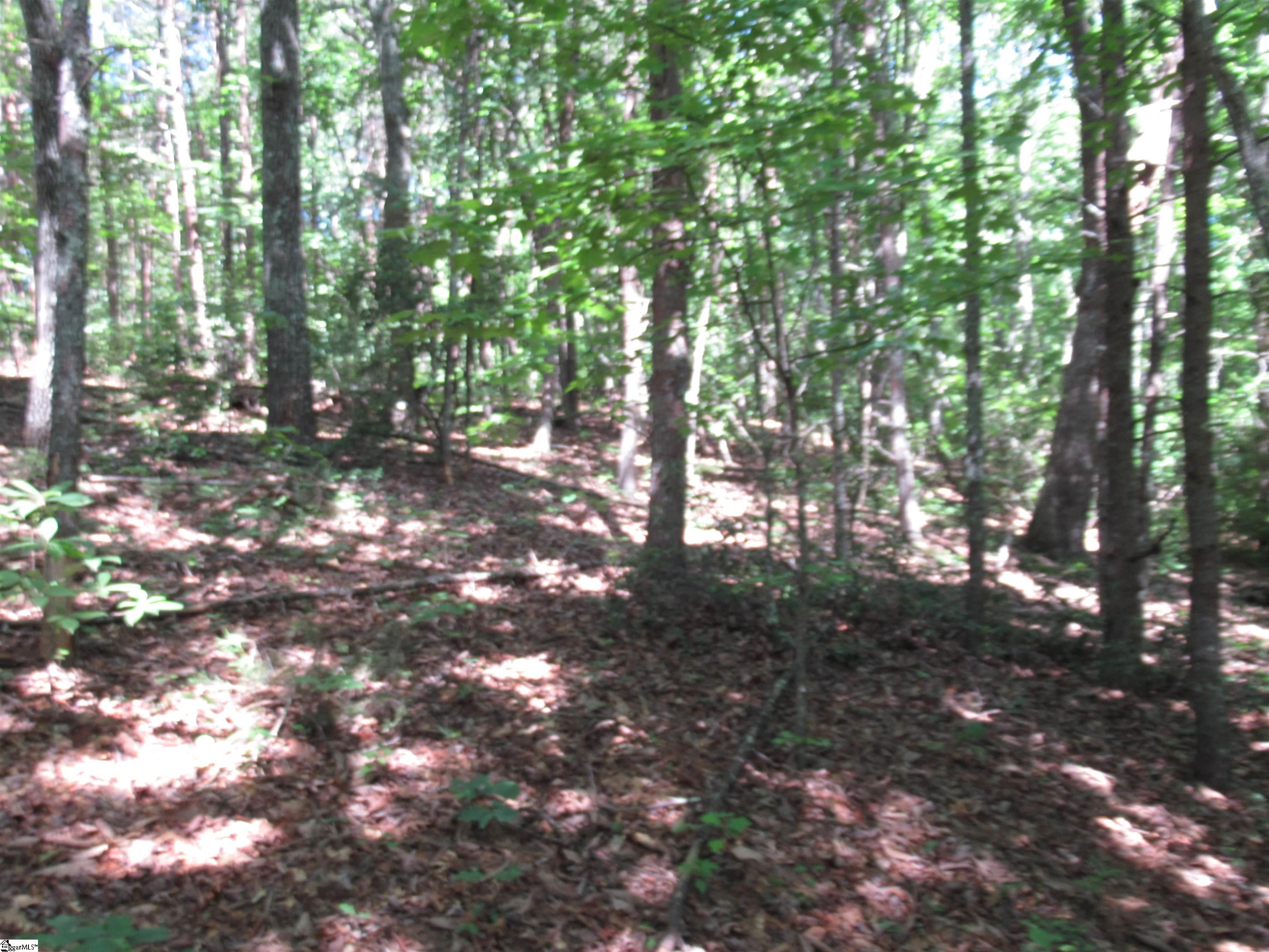 221 River Bluff, Cleveland, South Carolina image 1