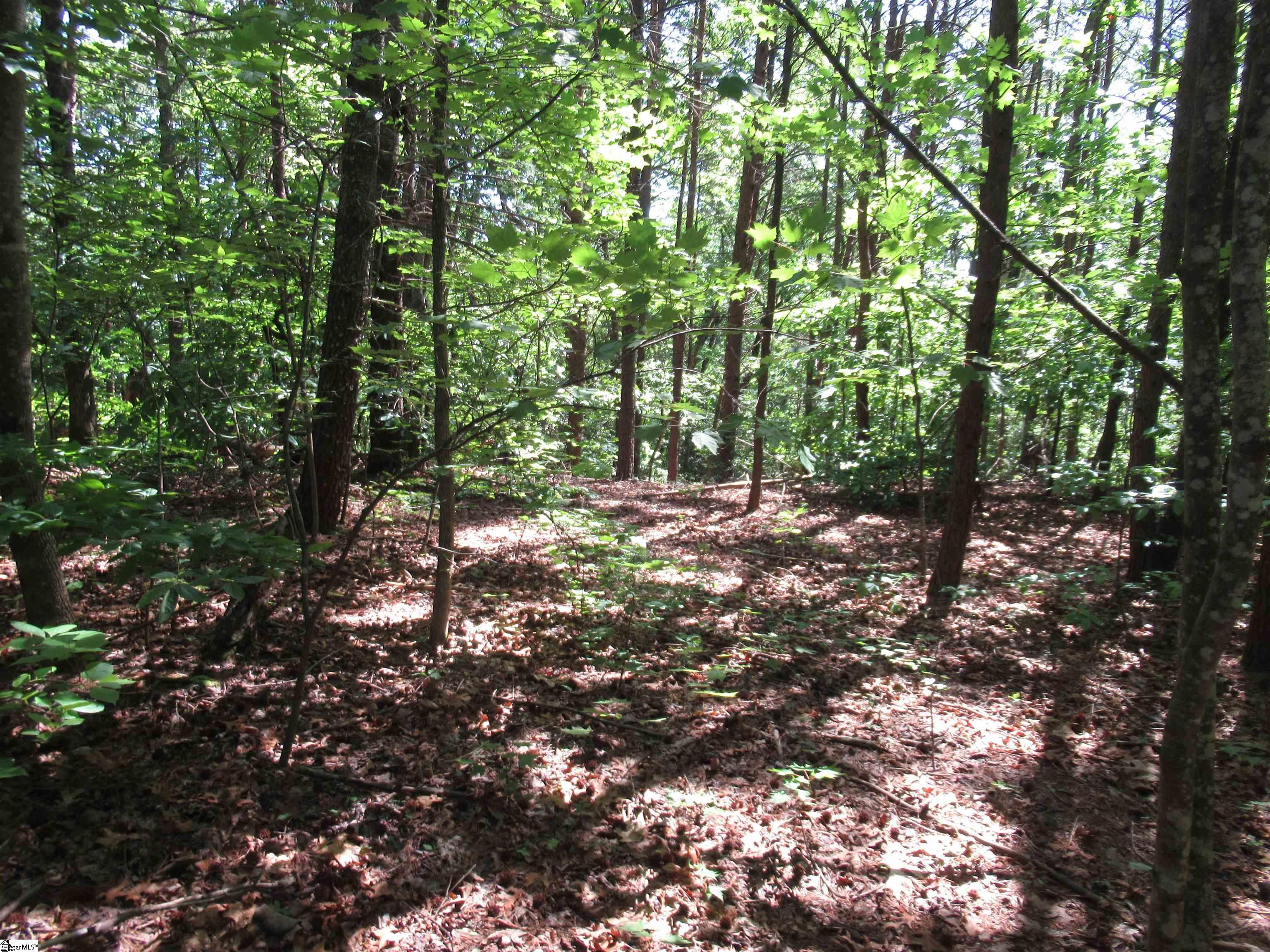 221 River Bluff, Cleveland, South Carolina image 2