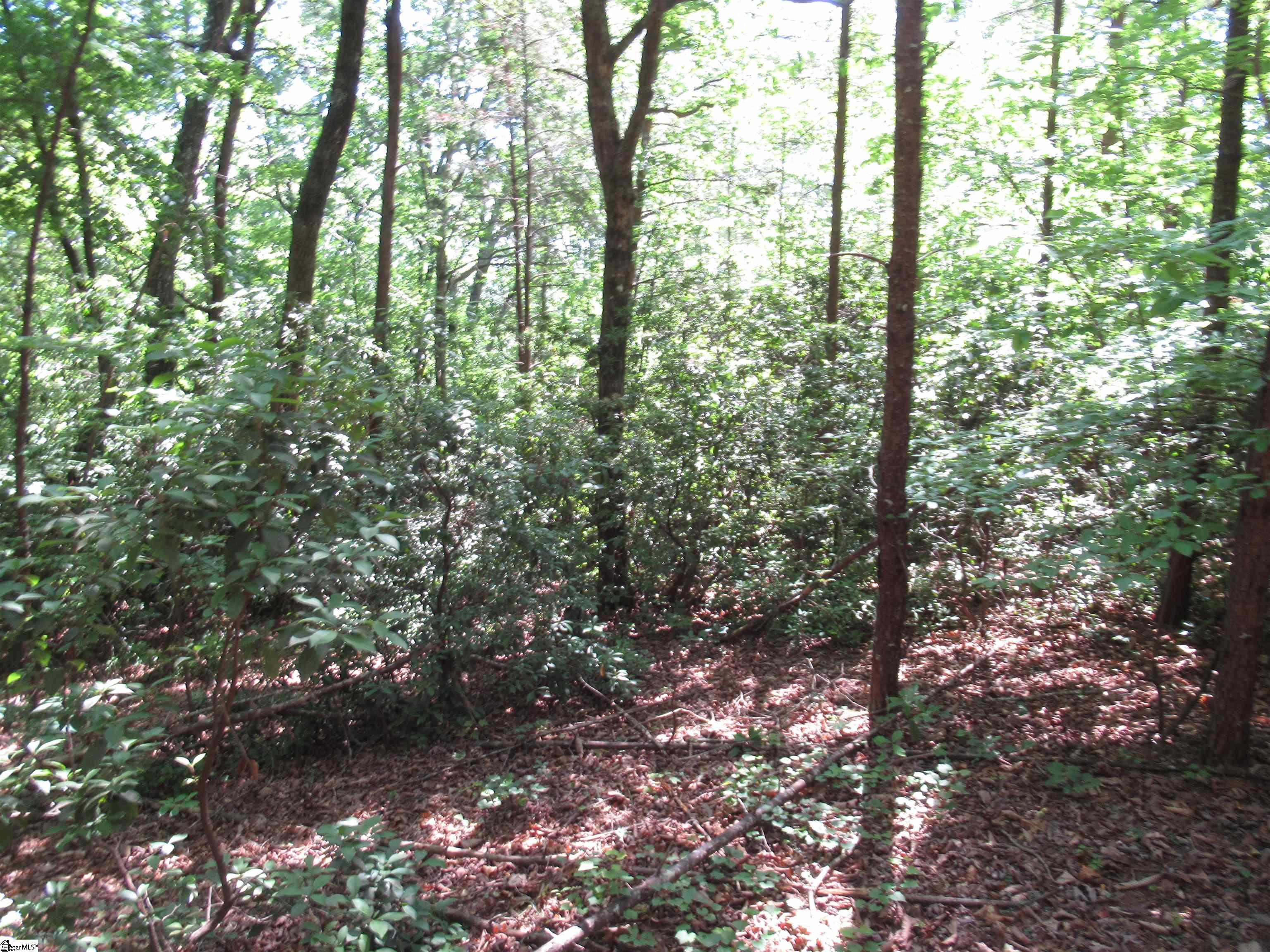 221 River Bluff, Cleveland, South Carolina image 11