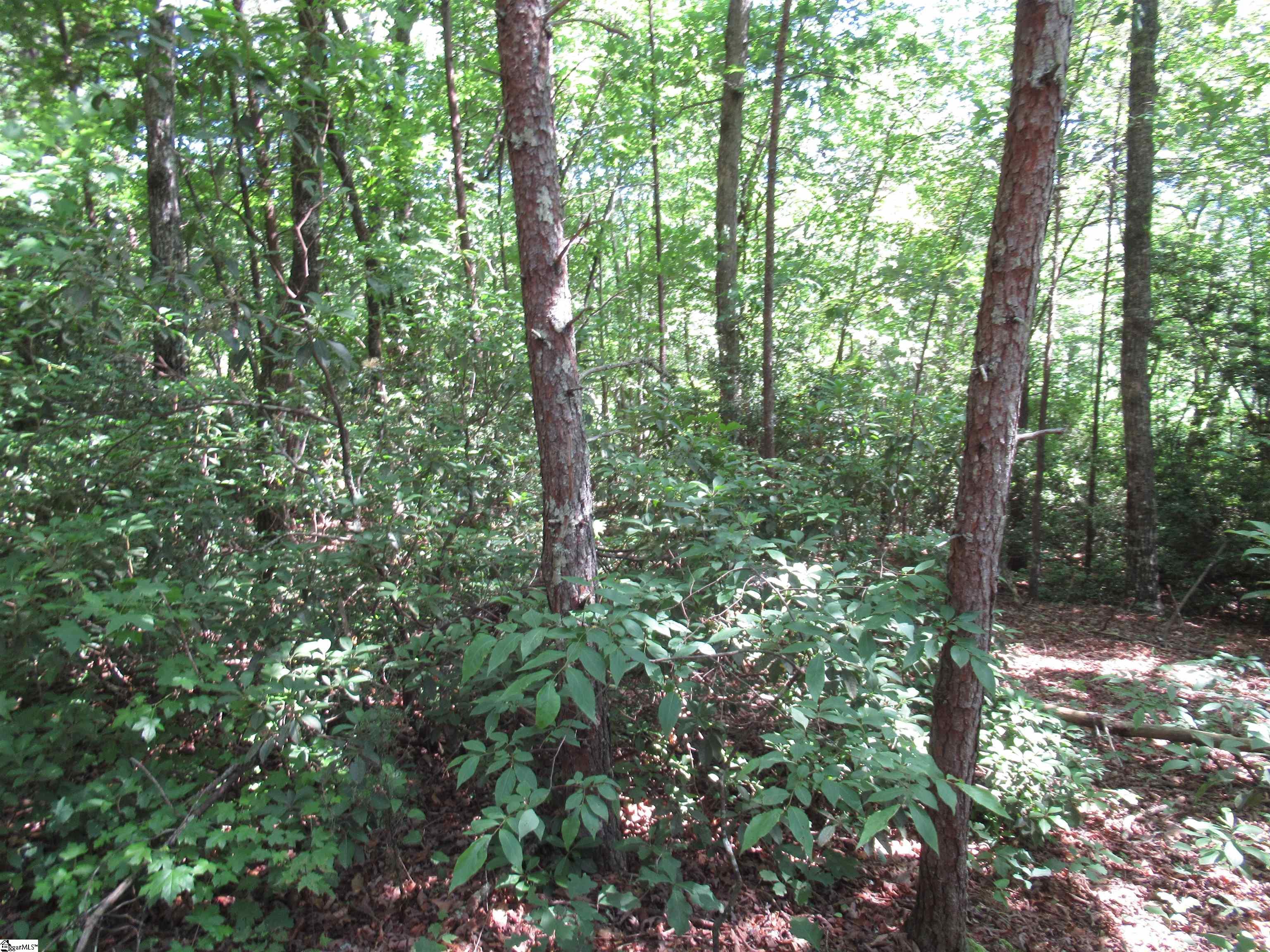 221 River Bluff, Cleveland, South Carolina image 12
