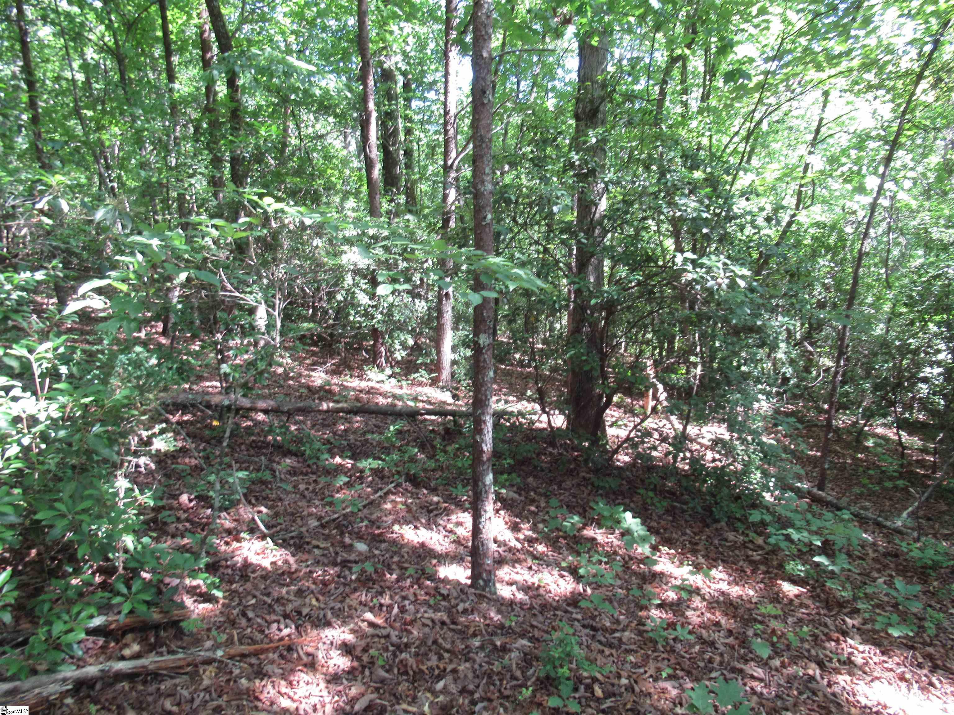 221 River Bluff, Cleveland, South Carolina image 13