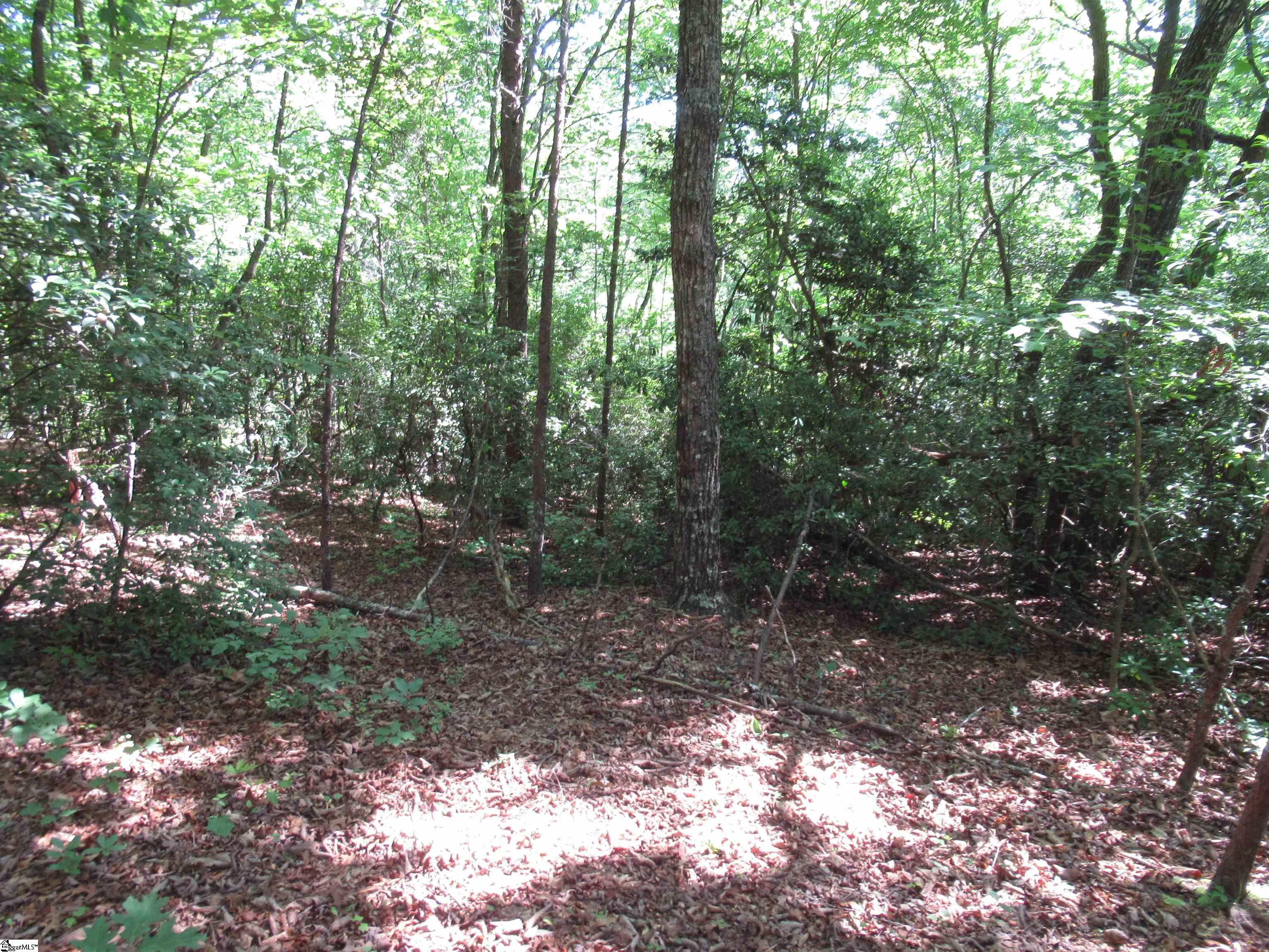 221 River Bluff, Cleveland, South Carolina image 14