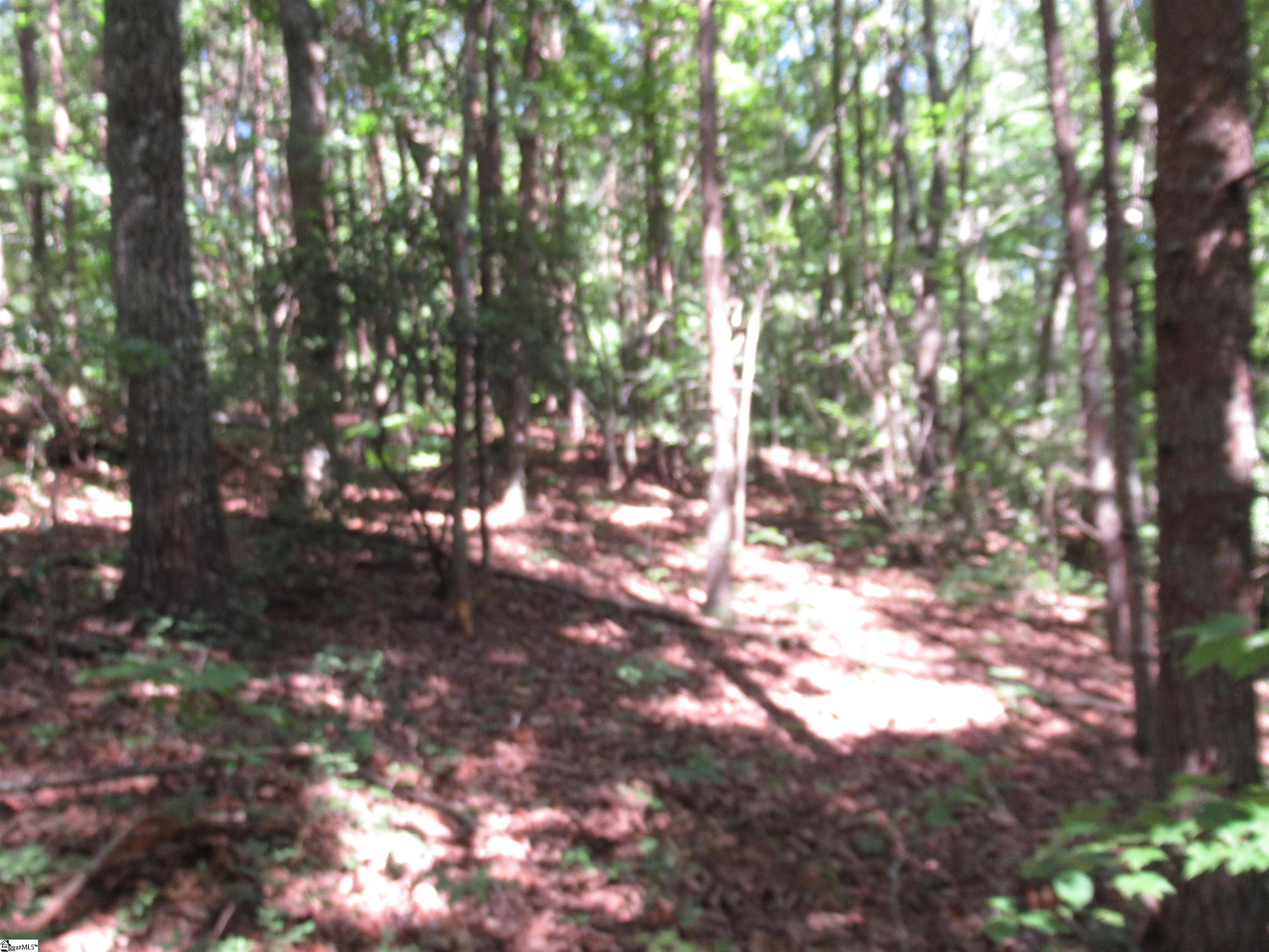 221 River Bluff, Cleveland, South Carolina image 16