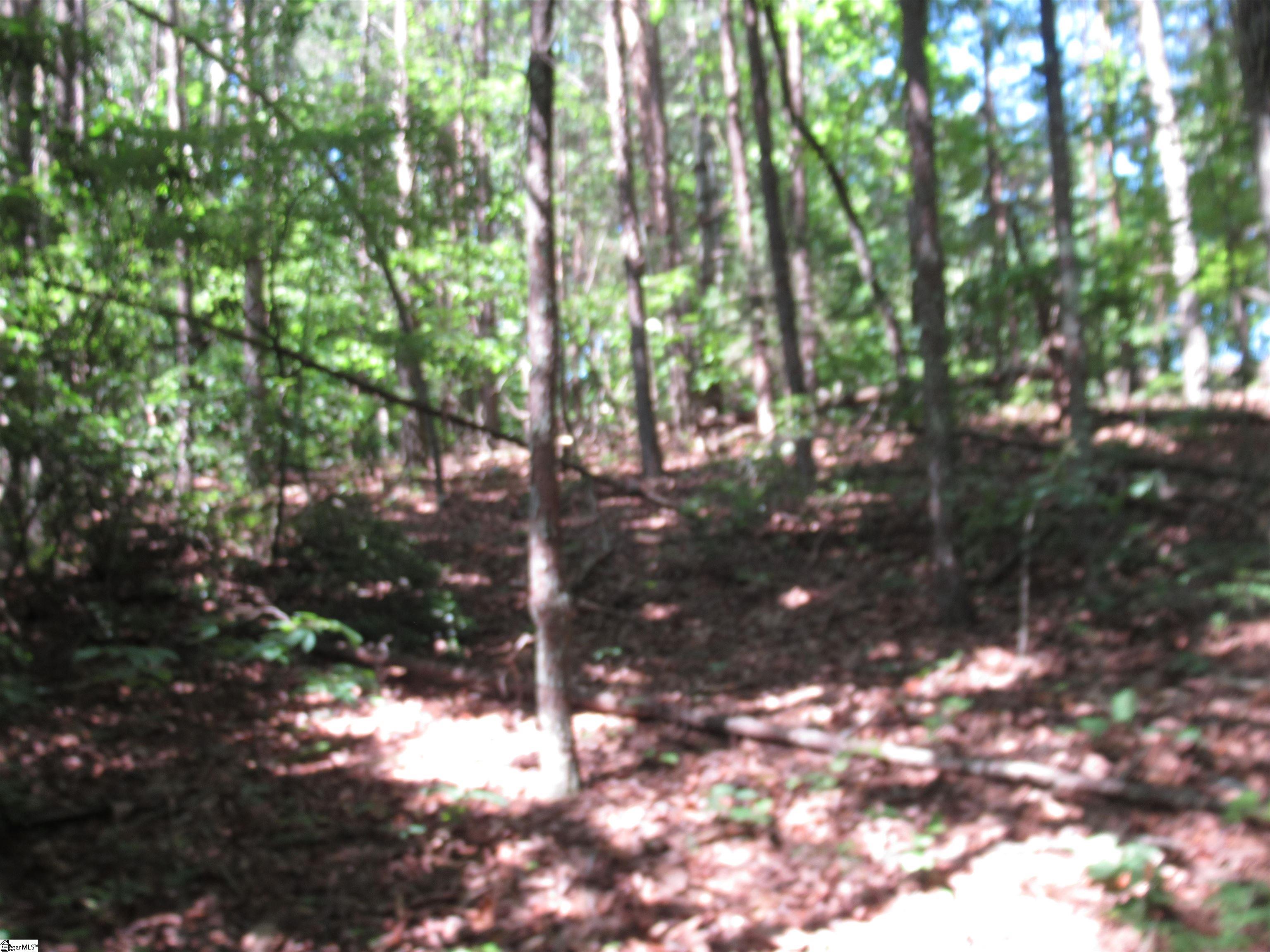 221 River Bluff, Cleveland, South Carolina image 17