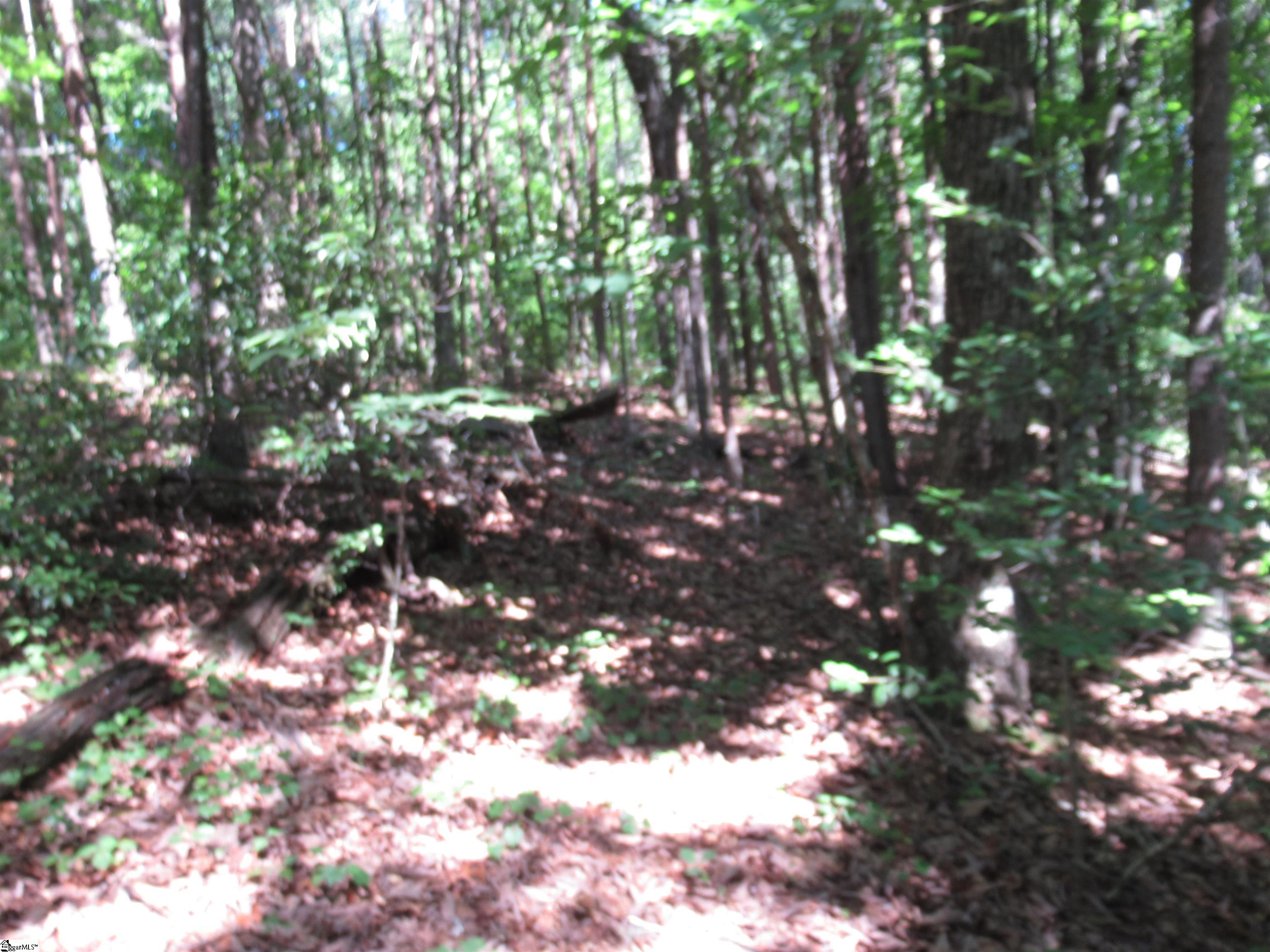 221 River Bluff, Cleveland, South Carolina image 18