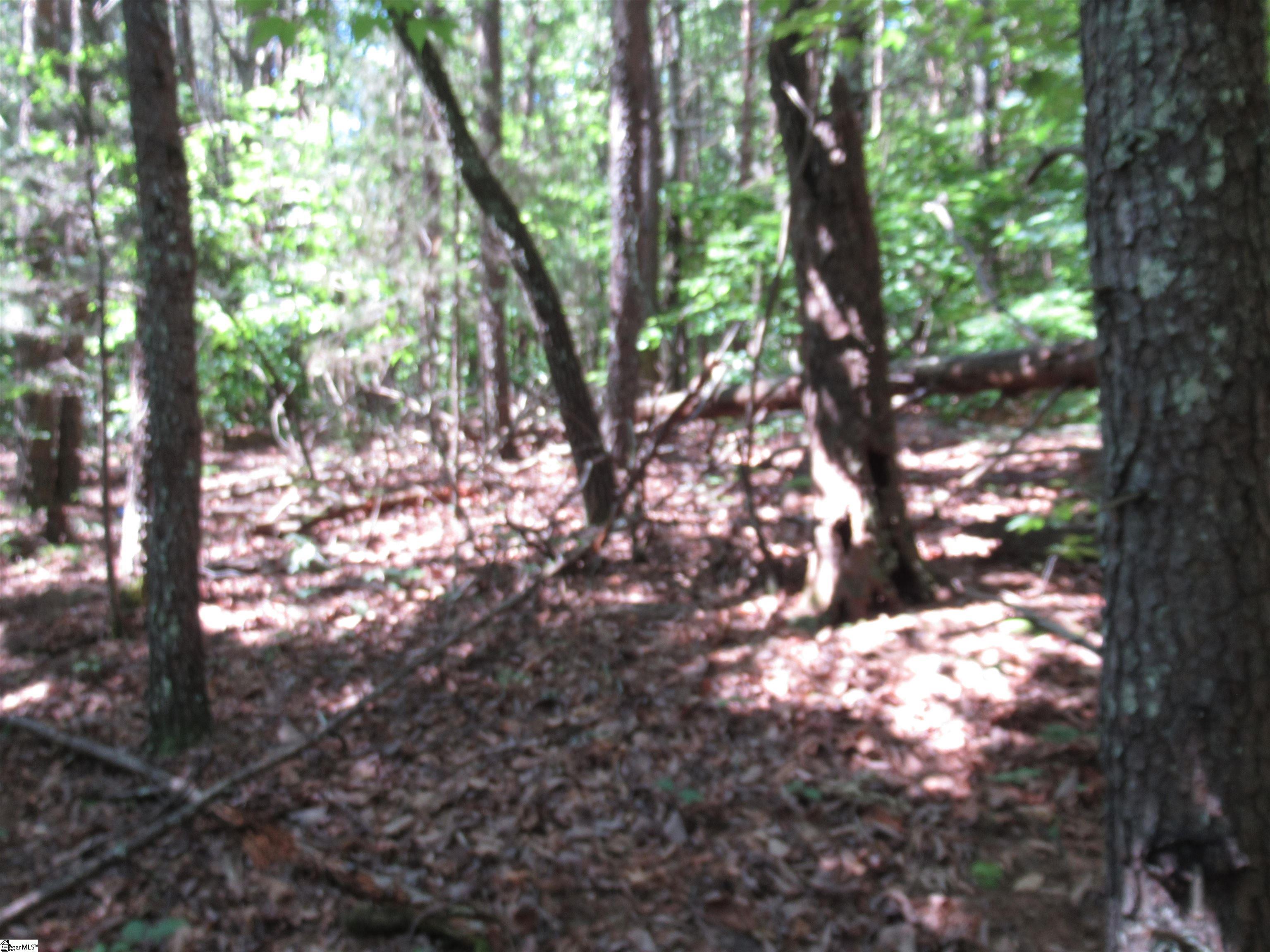 221 River Bluff, Cleveland, South Carolina image 19