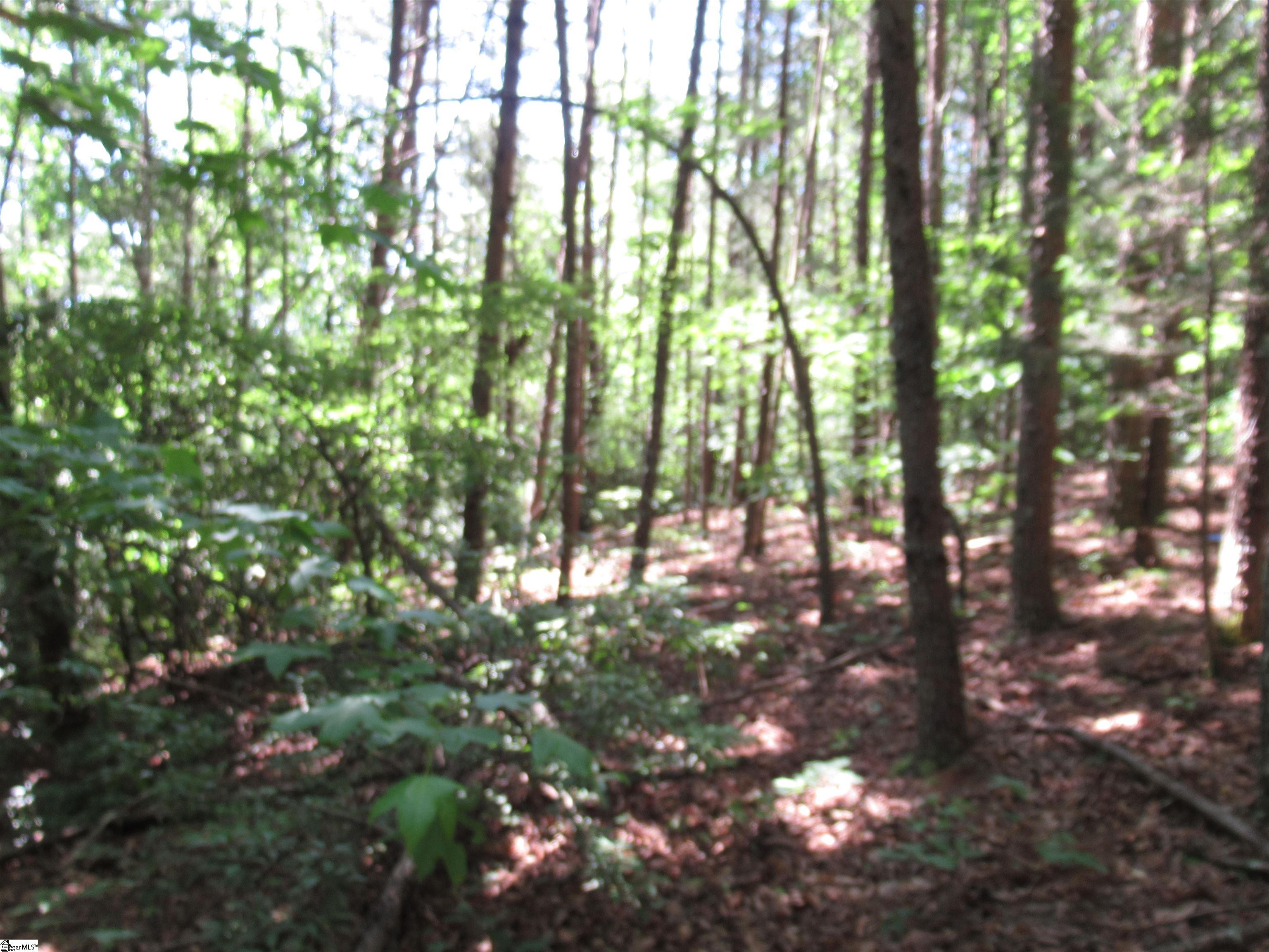 221 River Bluff, Cleveland, South Carolina image 20