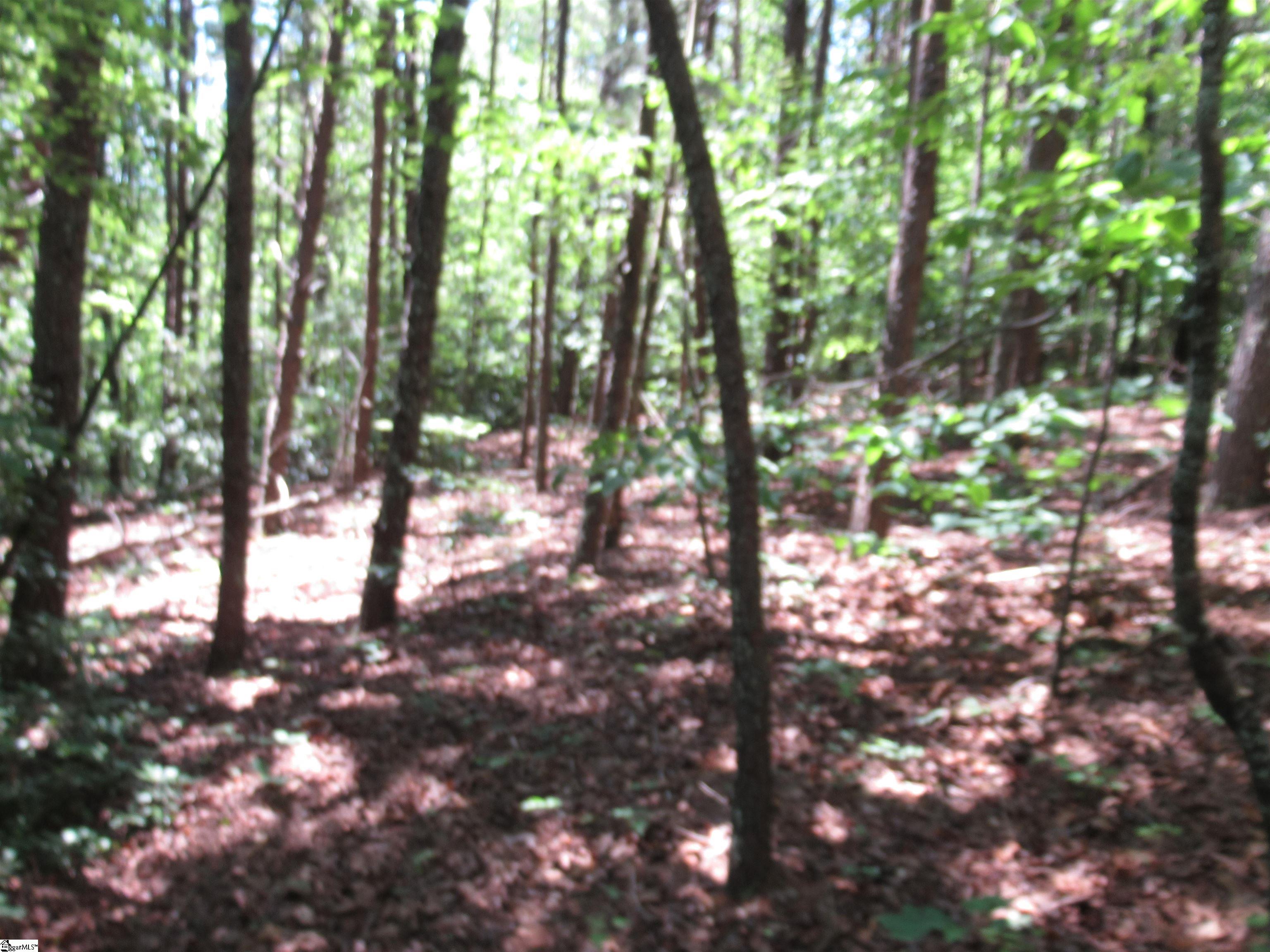 221 River Bluff, Cleveland, South Carolina image 21