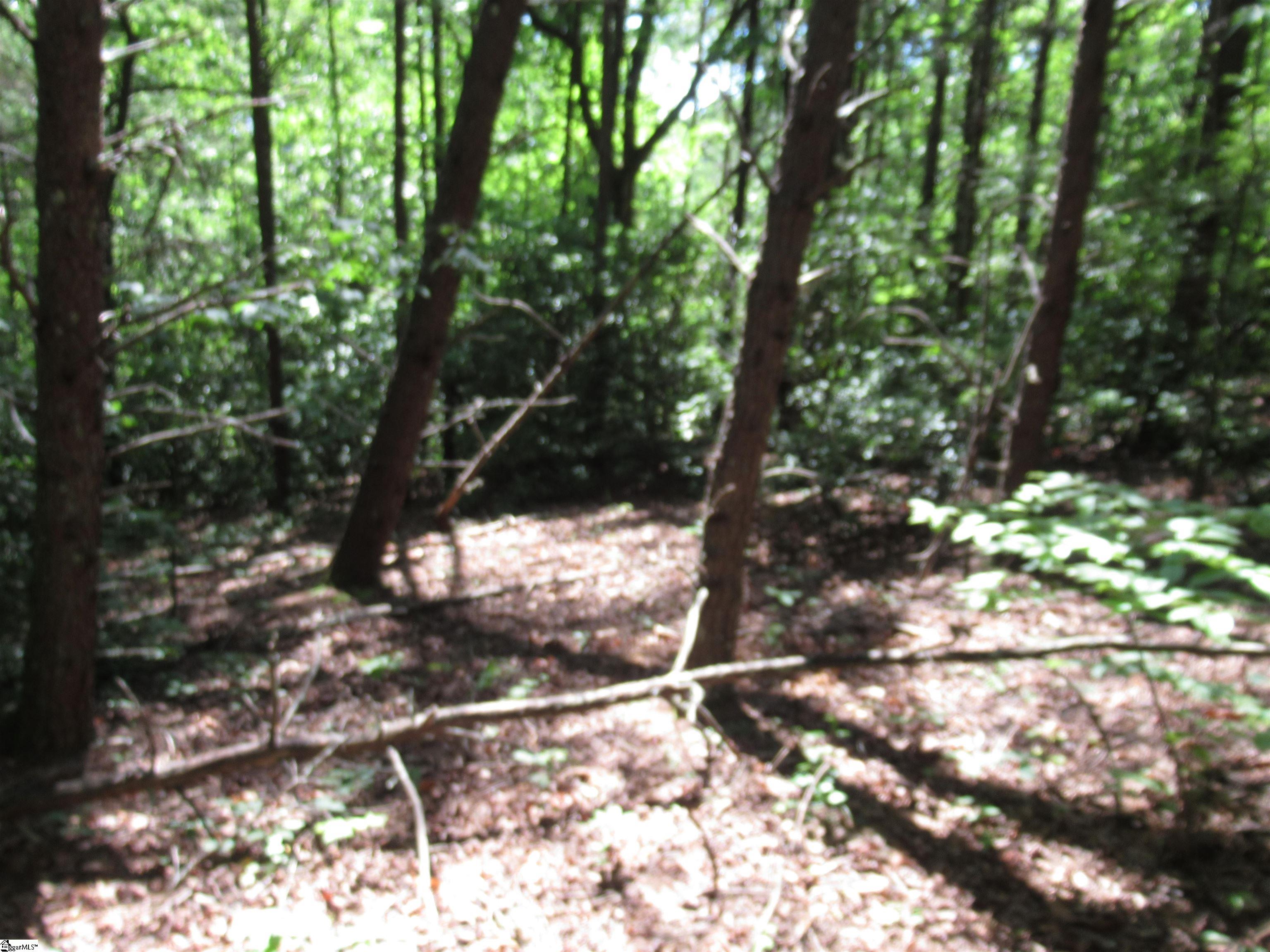 221 River Bluff, Cleveland, South Carolina image 22
