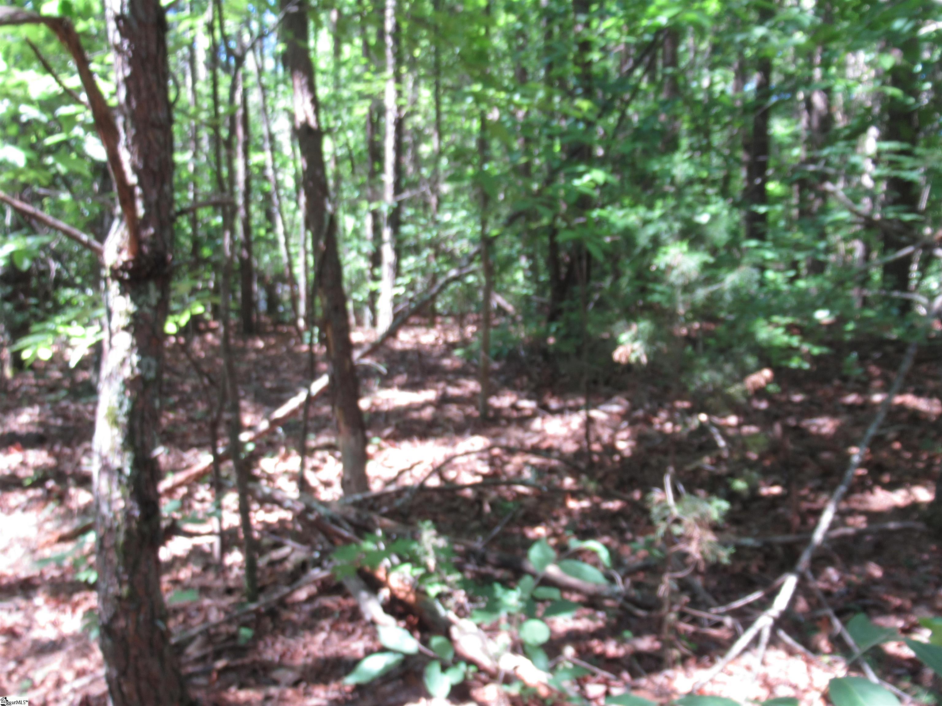 221 River Bluff, Cleveland, South Carolina image 24